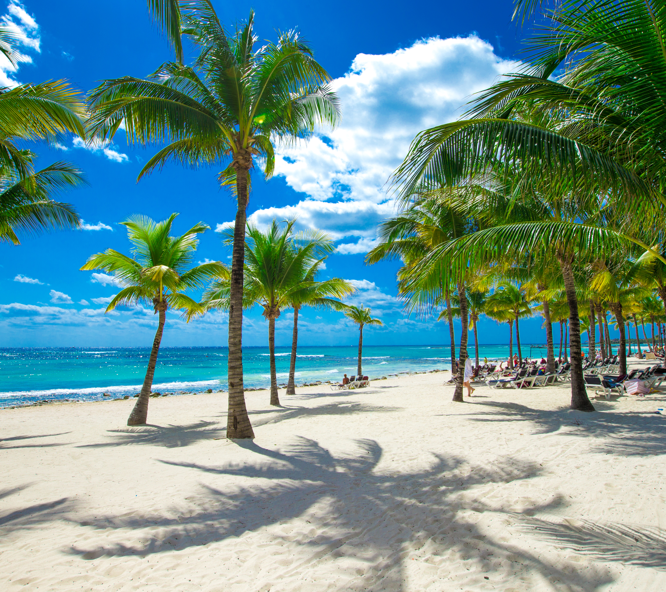 Descarga gratis la imagen Mar, Playa, Océano, Tropical, Fotografía, Palmera, Tropico en el escritorio de tu PC