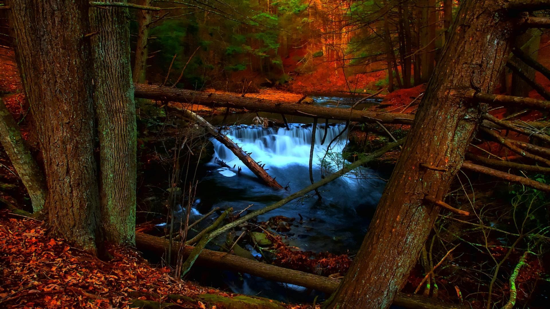 Скачать картинку Осень, Водопады, Водопад, Лес, Дерево, Ручей, Крик, Земля/природа в телефон бесплатно.
