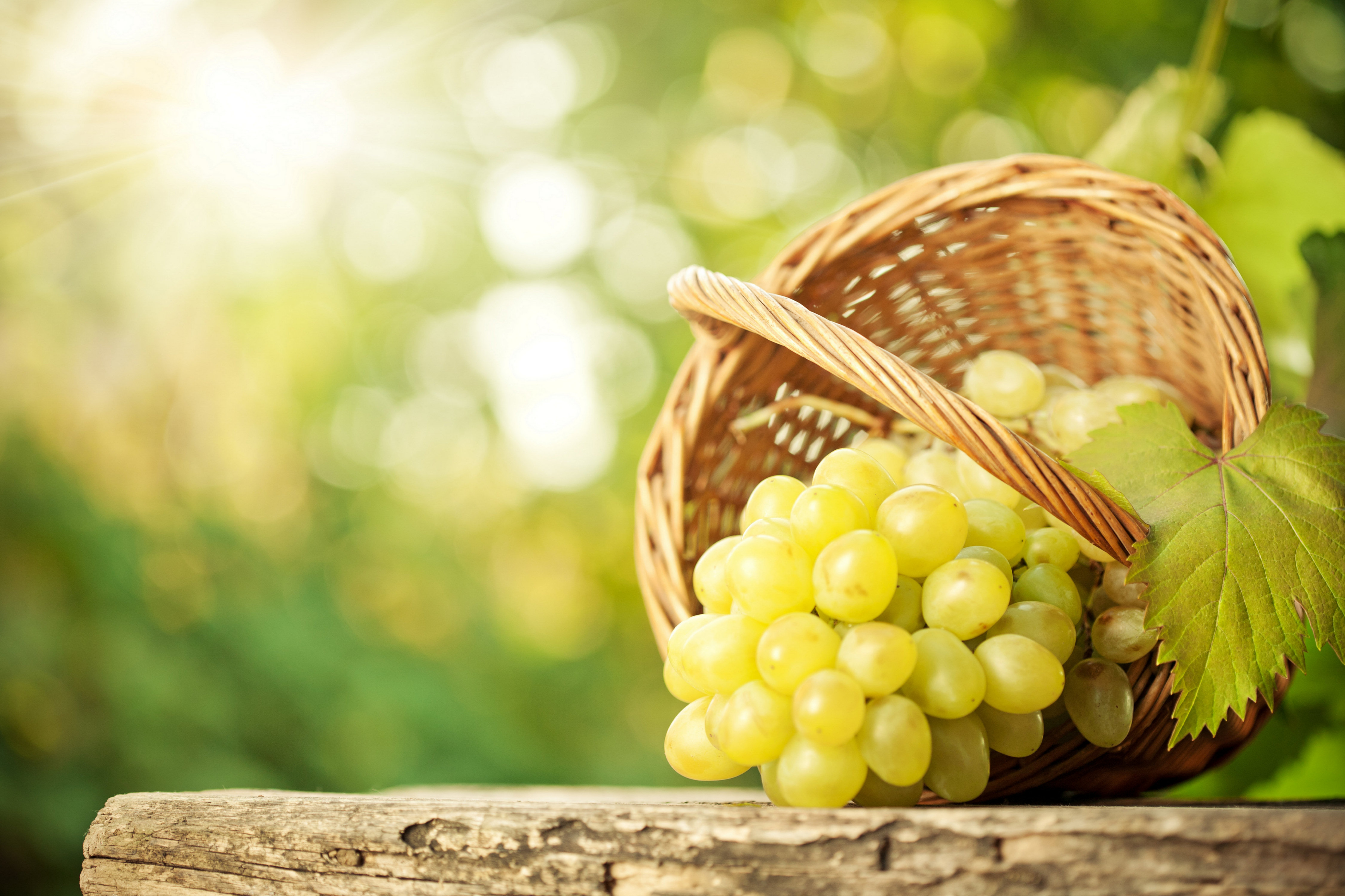 Download mobile wallpaper Fruits, Food, Grapes for free.