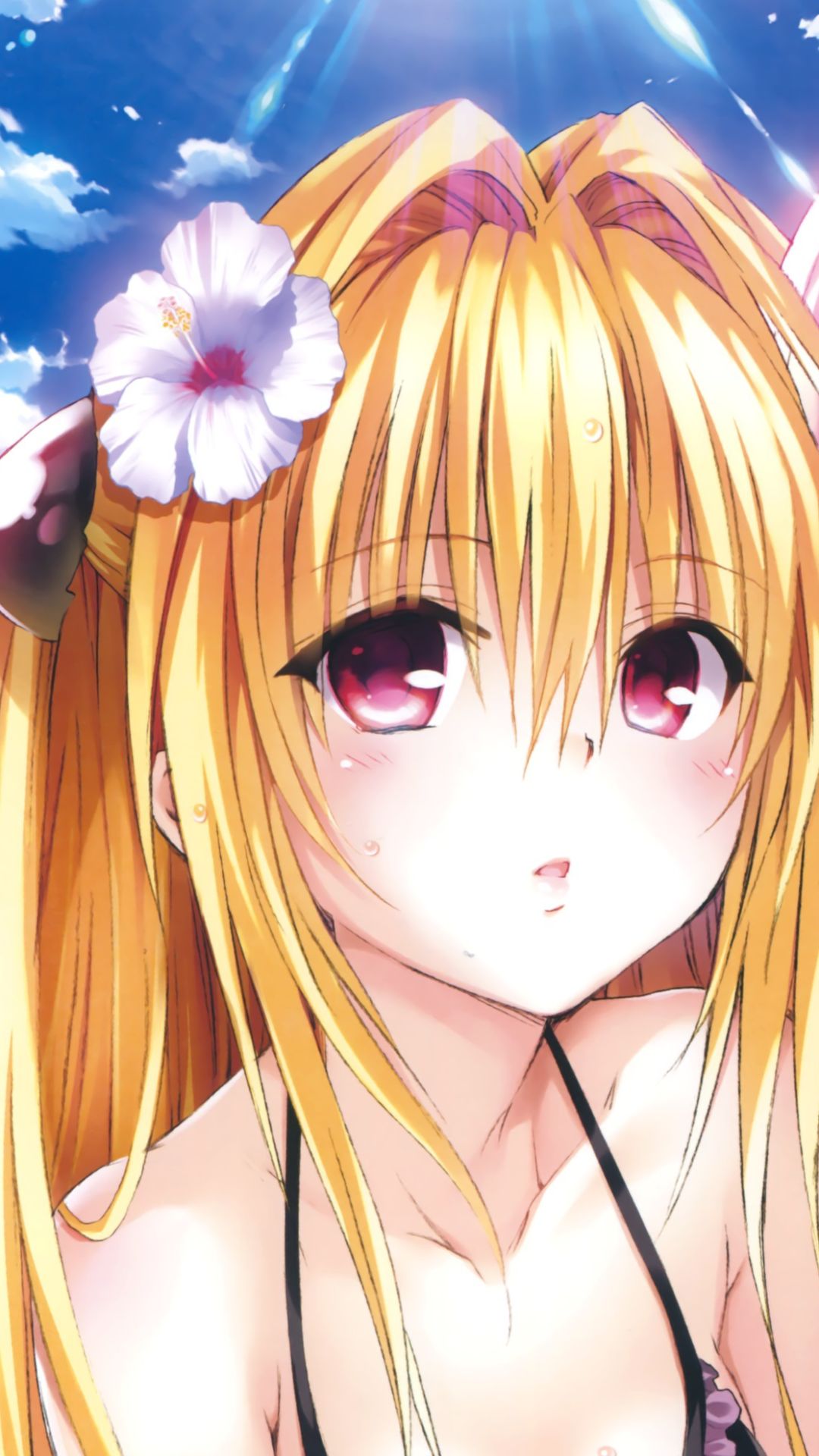 Download mobile wallpaper Anime, Golden Darkness, To Love Ru, Momo Velia Deviluke for free.