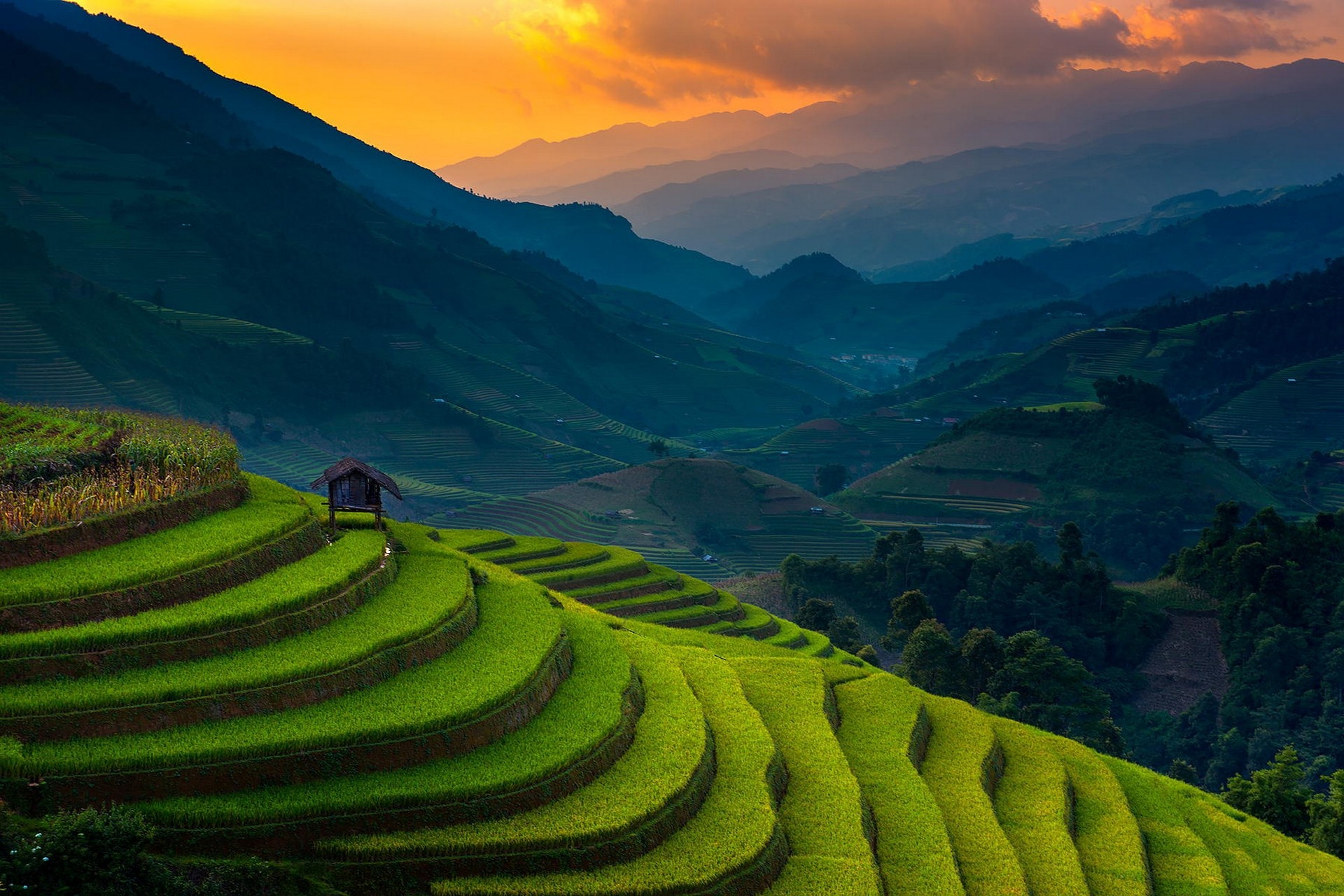 Free download wallpaper Man Made, Rice Terrace on your PC desktop