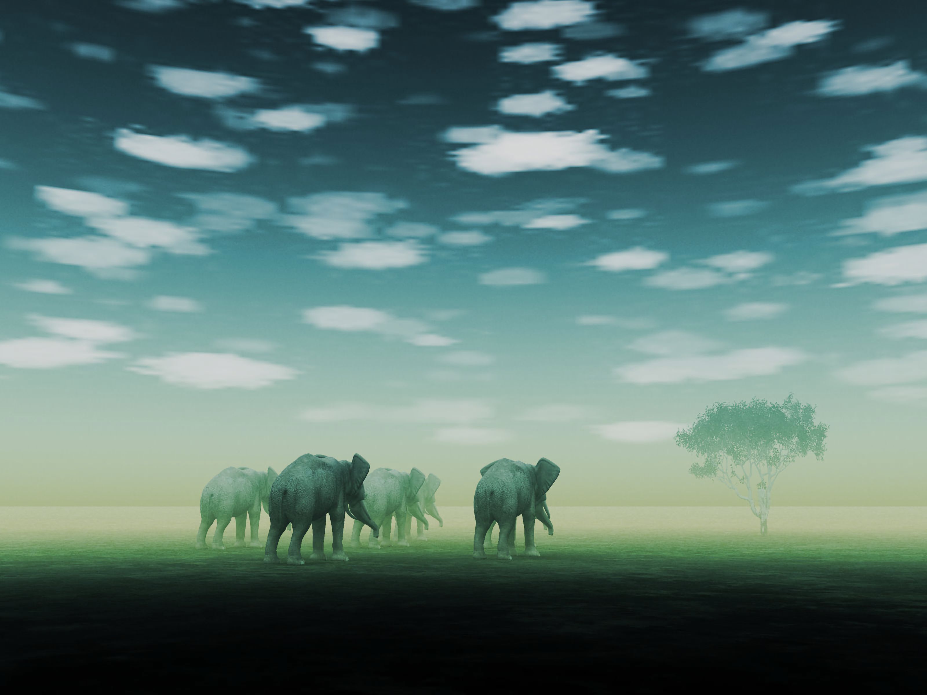 art, fog, mirage, desert, elephants