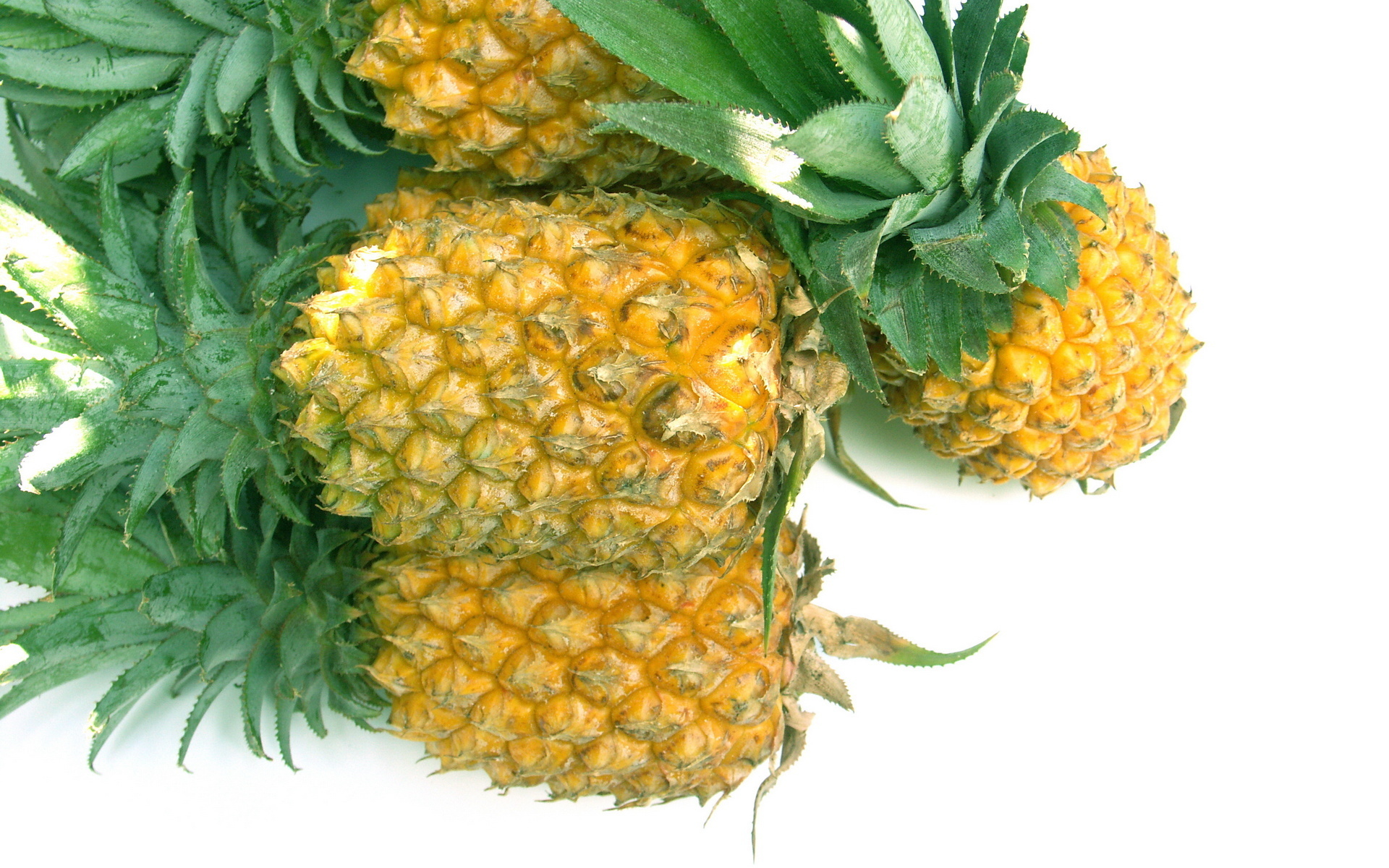 304157 Bild herunterladen nahrungsmittel, ananas, früchte - Hintergrundbilder und Bildschirmschoner kostenlos