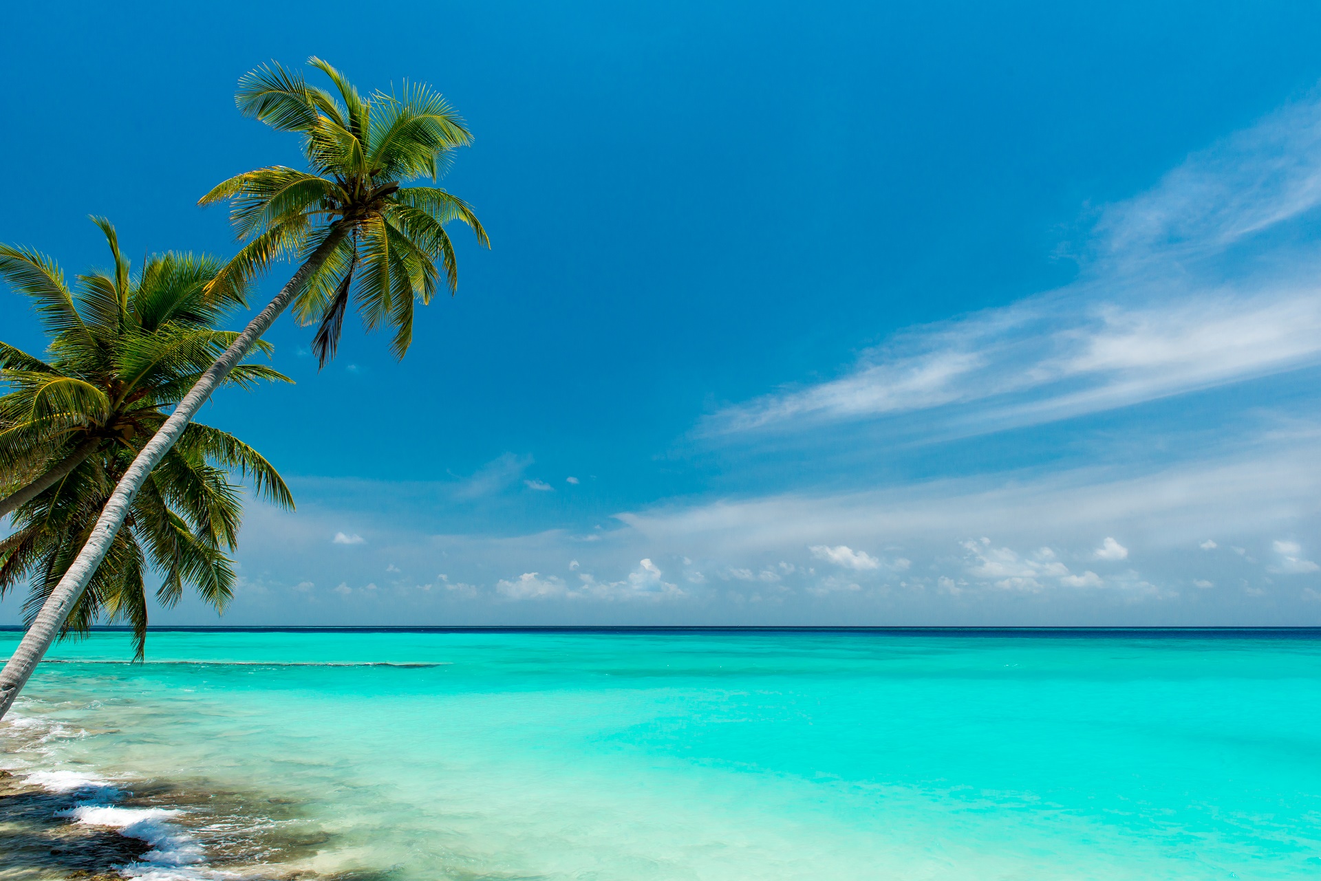 Laden Sie das Horizont, Ozean, Palme, Erde/natur-Bild kostenlos auf Ihren PC-Desktop herunter