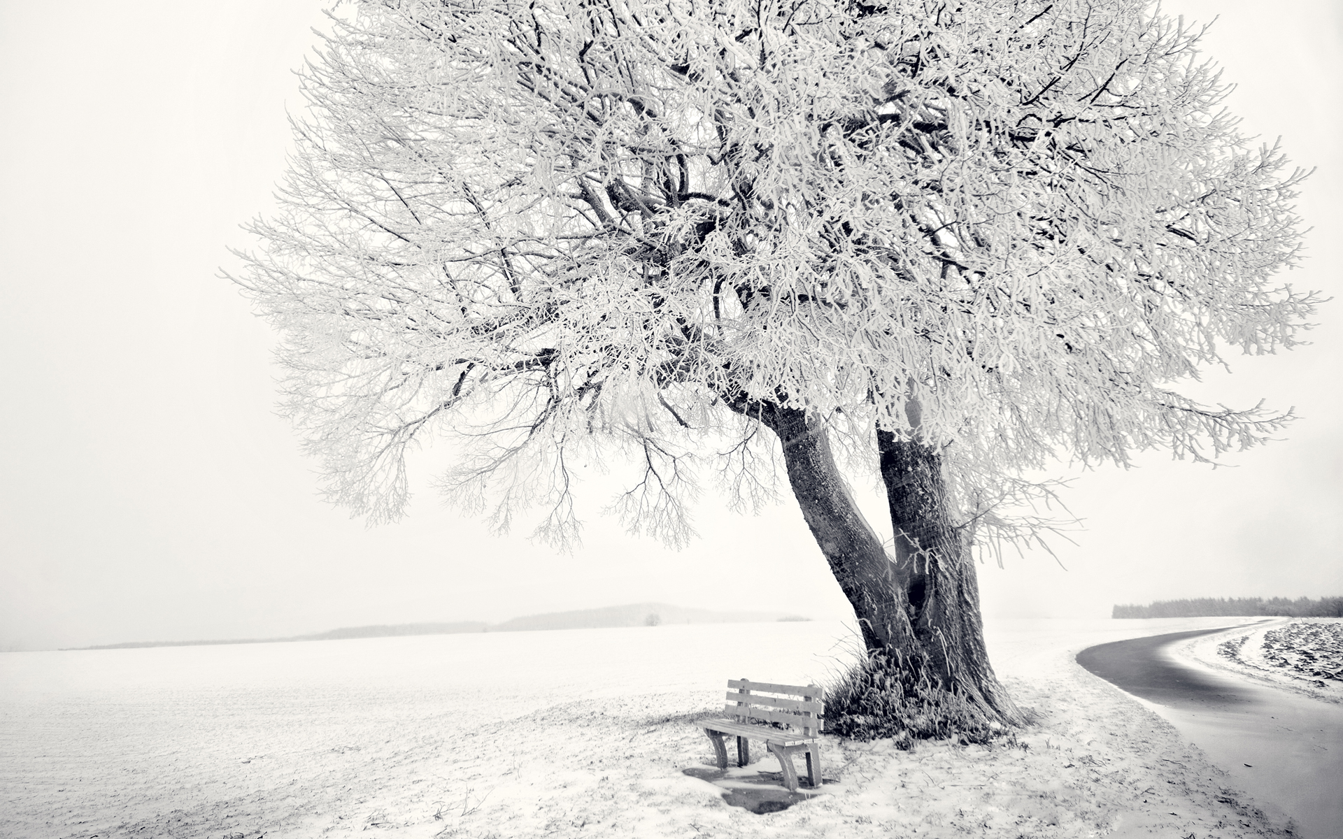 Free download wallpaper Winter, Photography on your PC desktop