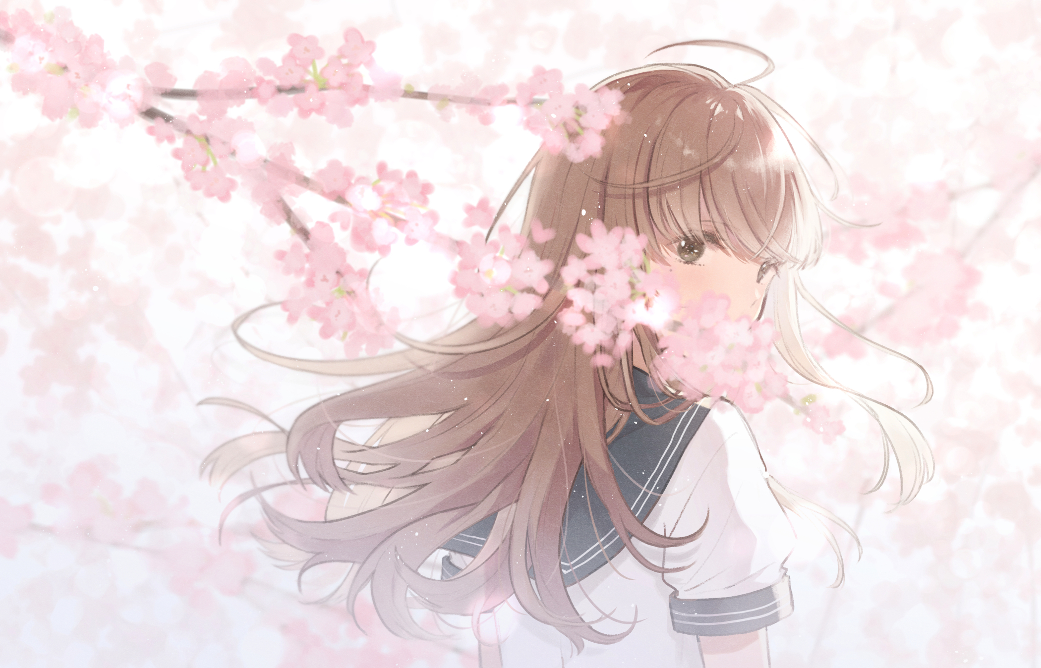 Free download wallpaper Anime, Sakura, Original on your PC desktop