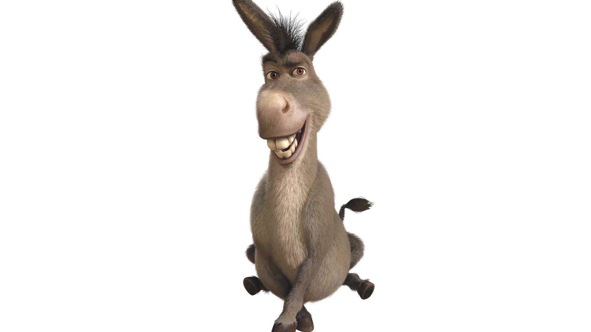 donkey (shrek), movie, shrek