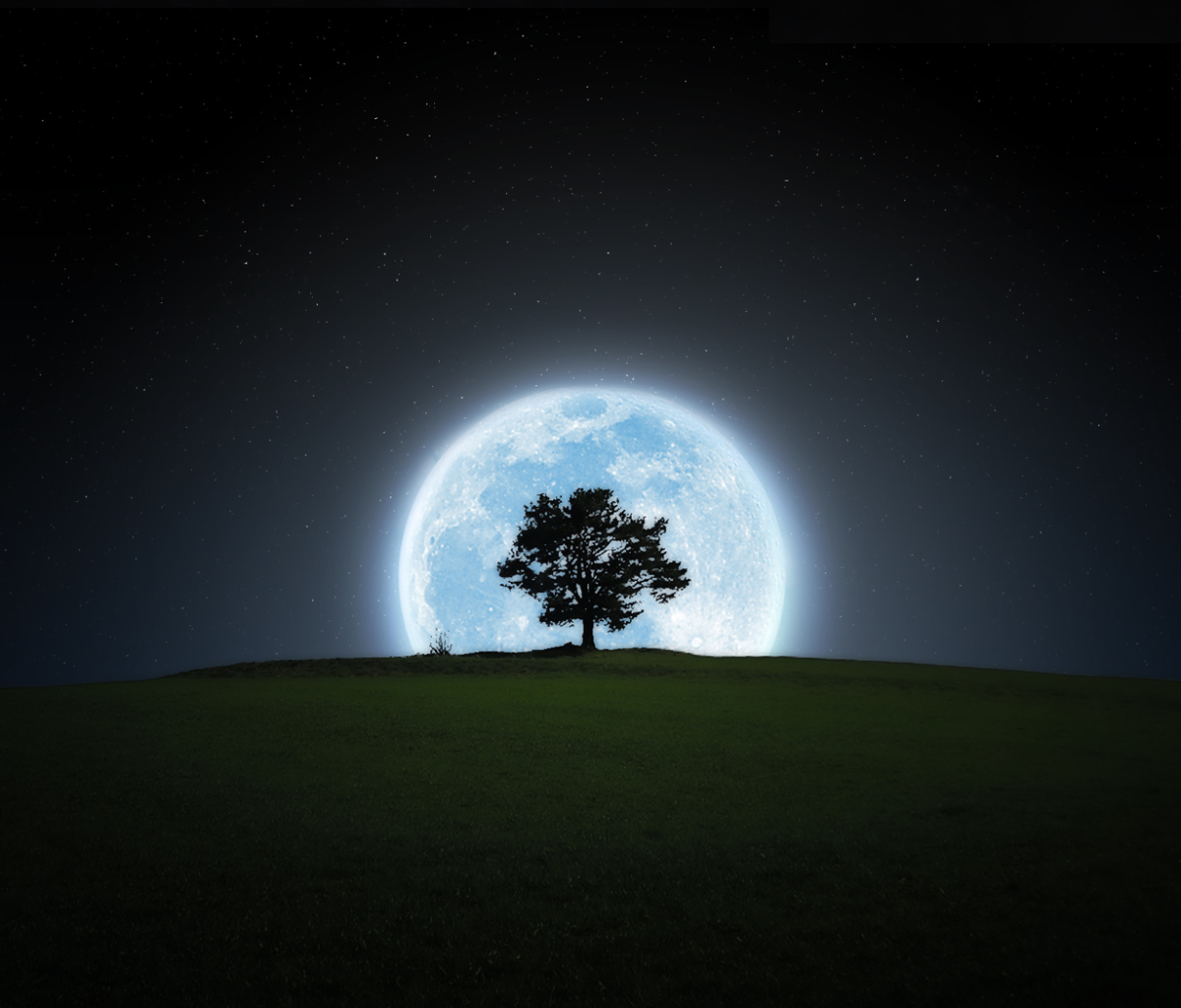 PCデスクトップに木, シルエット, 月, 地球, 夜画像を無料でダウンロード