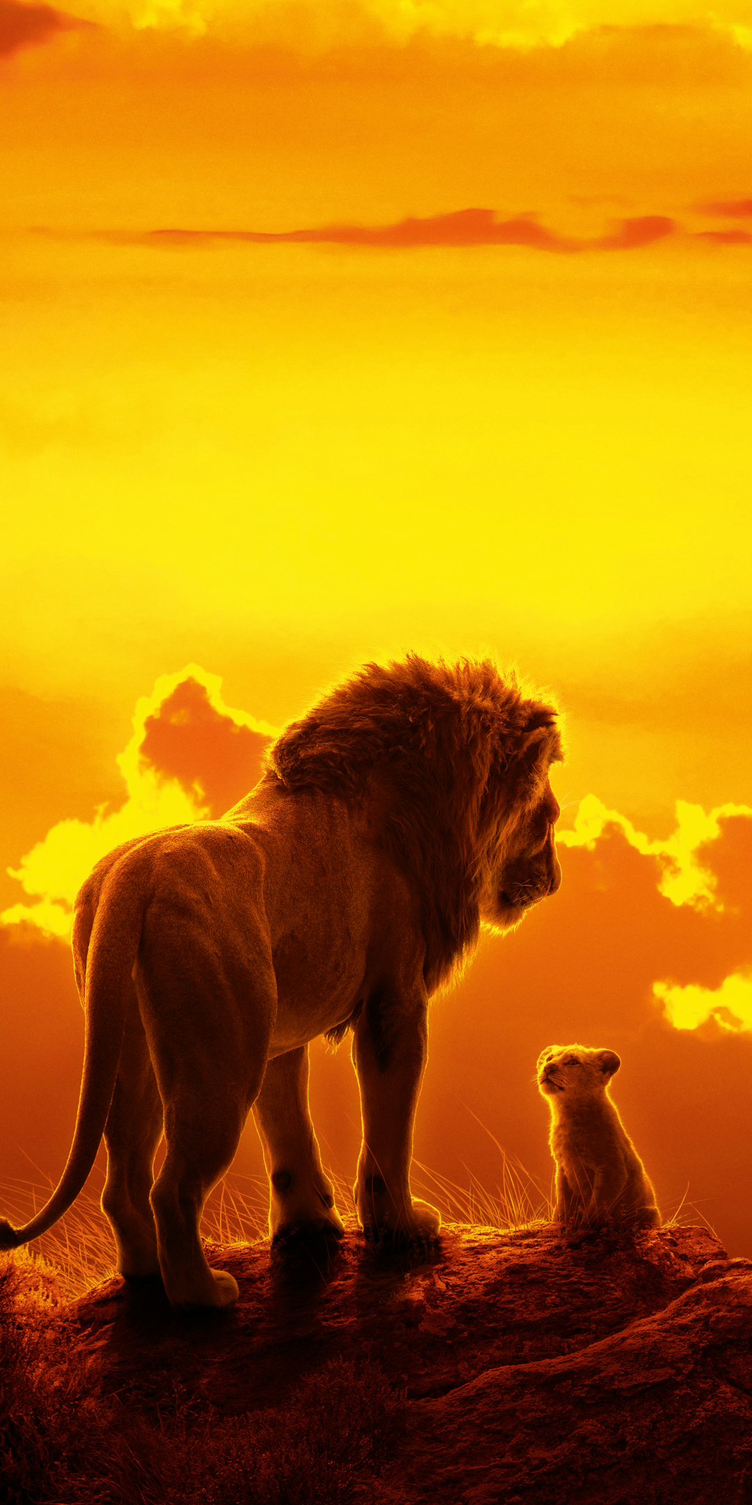 1346907 descargar fondo de pantalla películas, el rey león (2019), bebe animal, león, simba, mufasa (el rey león): protectores de pantalla e imágenes gratis