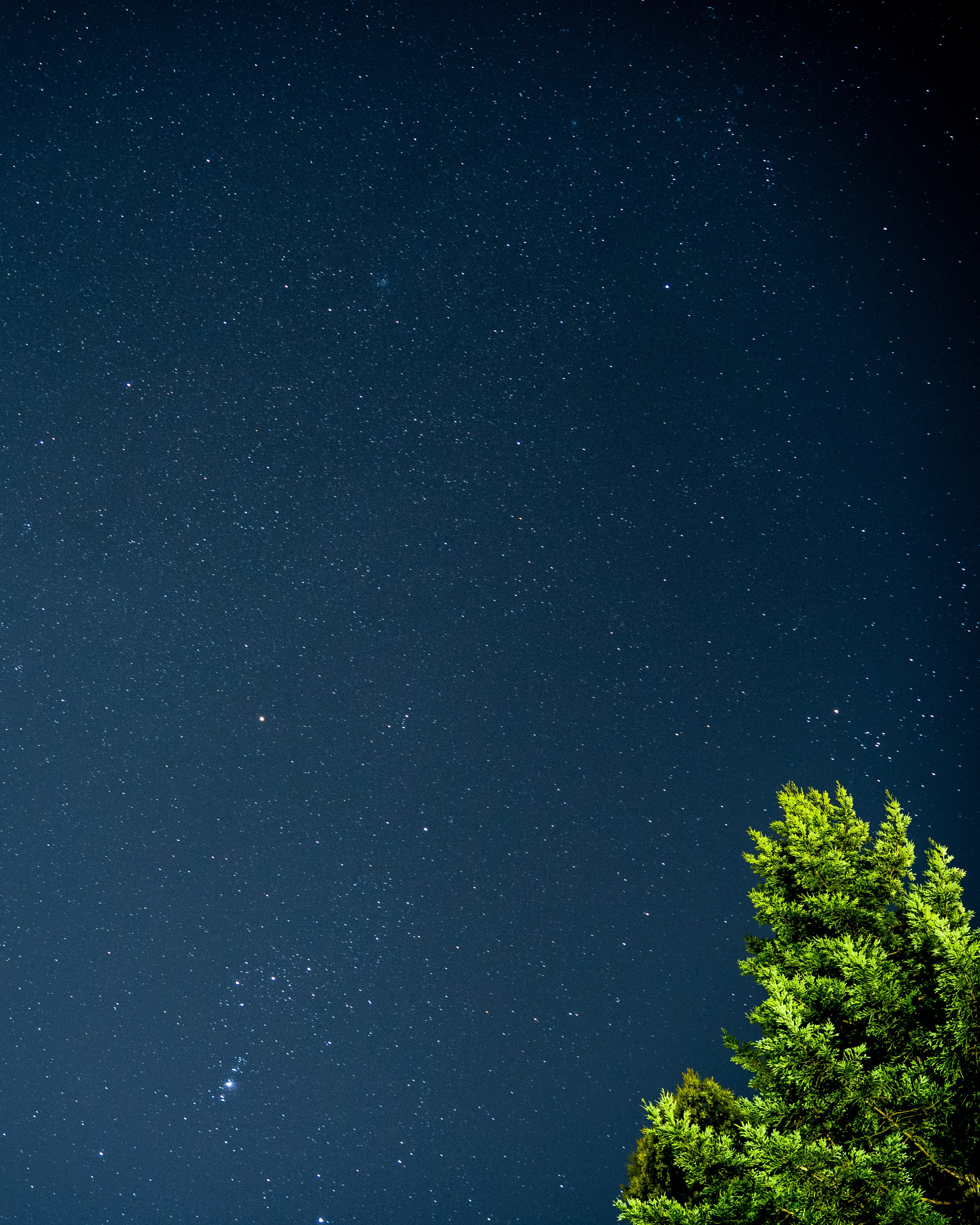 Free download wallpaper Nature, Night, Tree, Branches, Wood, Stars, Starry Sky, Leaves on your PC desktop