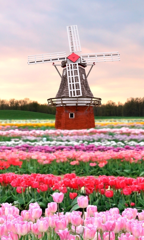 Download mobile wallpaper Windmill, Man Made for free.