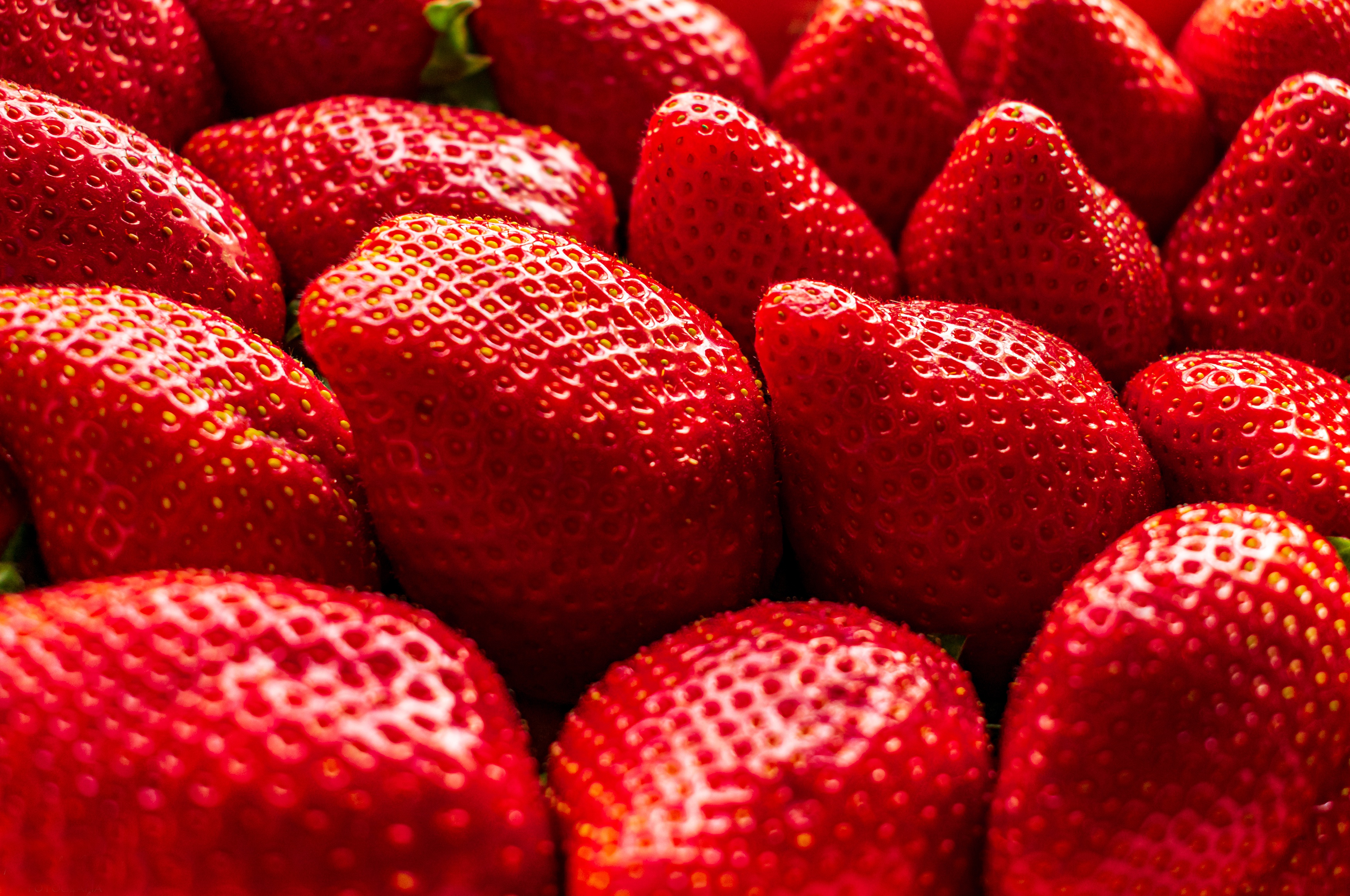Laden Sie das Erdbeere, Makro, Frucht, Nahrungsmittel, Früchte-Bild kostenlos auf Ihren PC-Desktop herunter