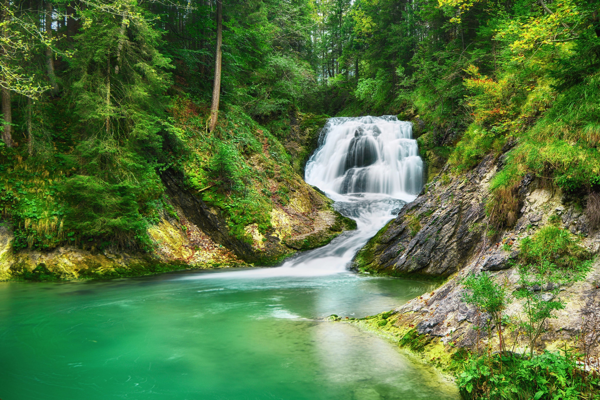 Download mobile wallpaper Waterfalls, Waterfall, Forest, Earth, Pond for free.