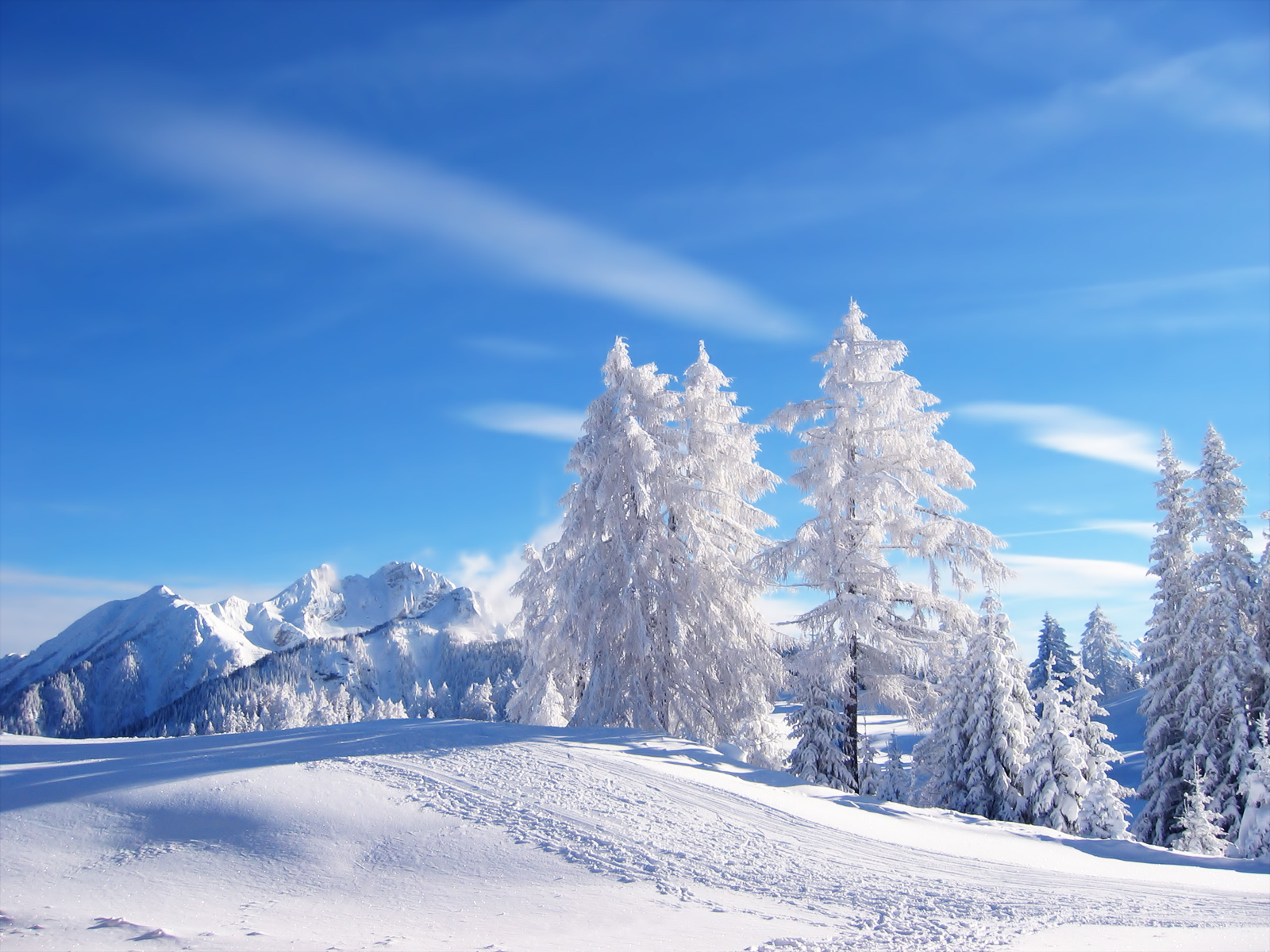 Скачать обои бесплатно Зима, Снег, Ландшафт, Земля/природа картинка на рабочий стол ПК