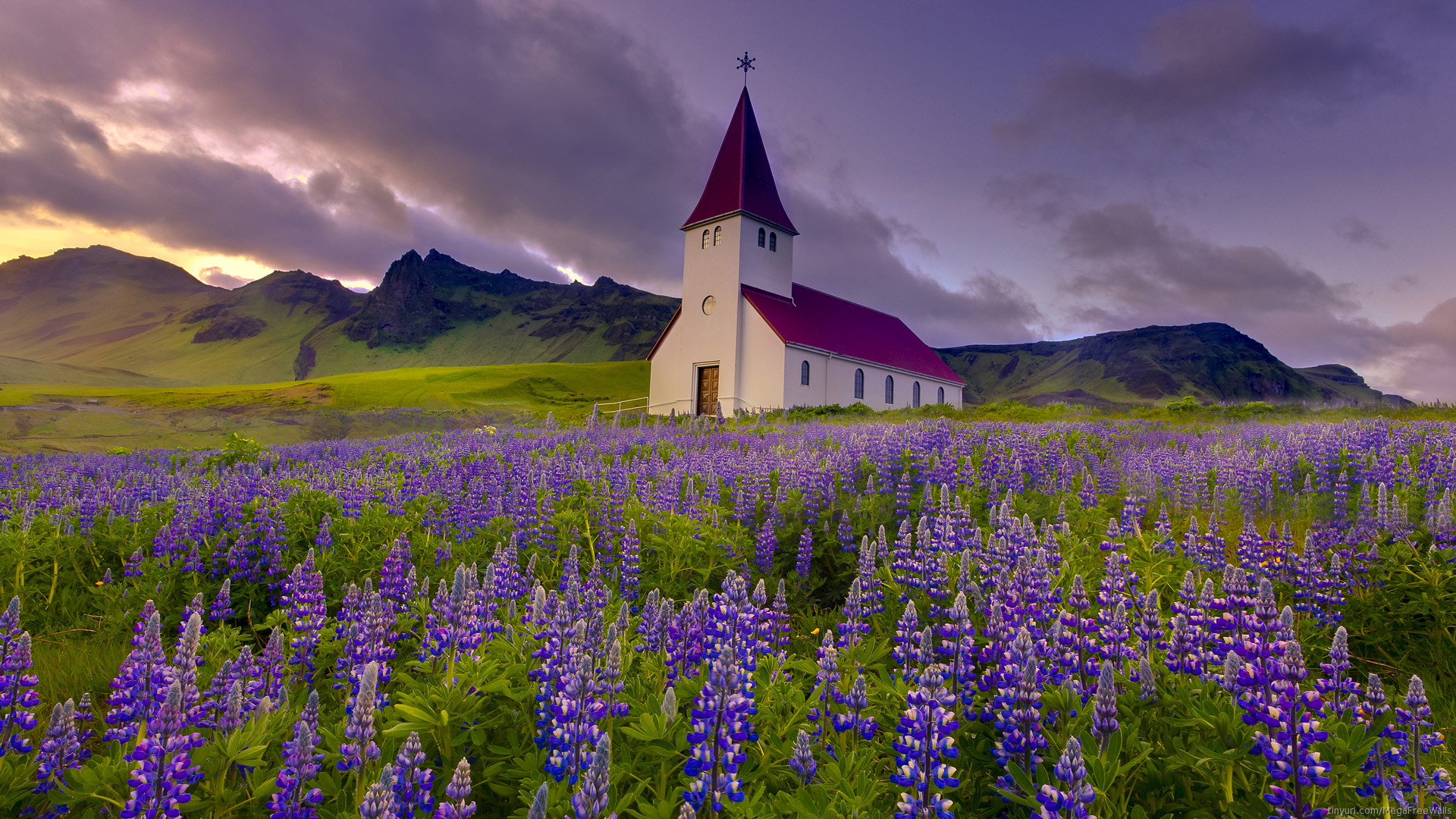 263344 завантажити картинку фіолетова квітка, церква, релігійний, квітка, люпин, церкви - шпалери і заставки безкоштовно