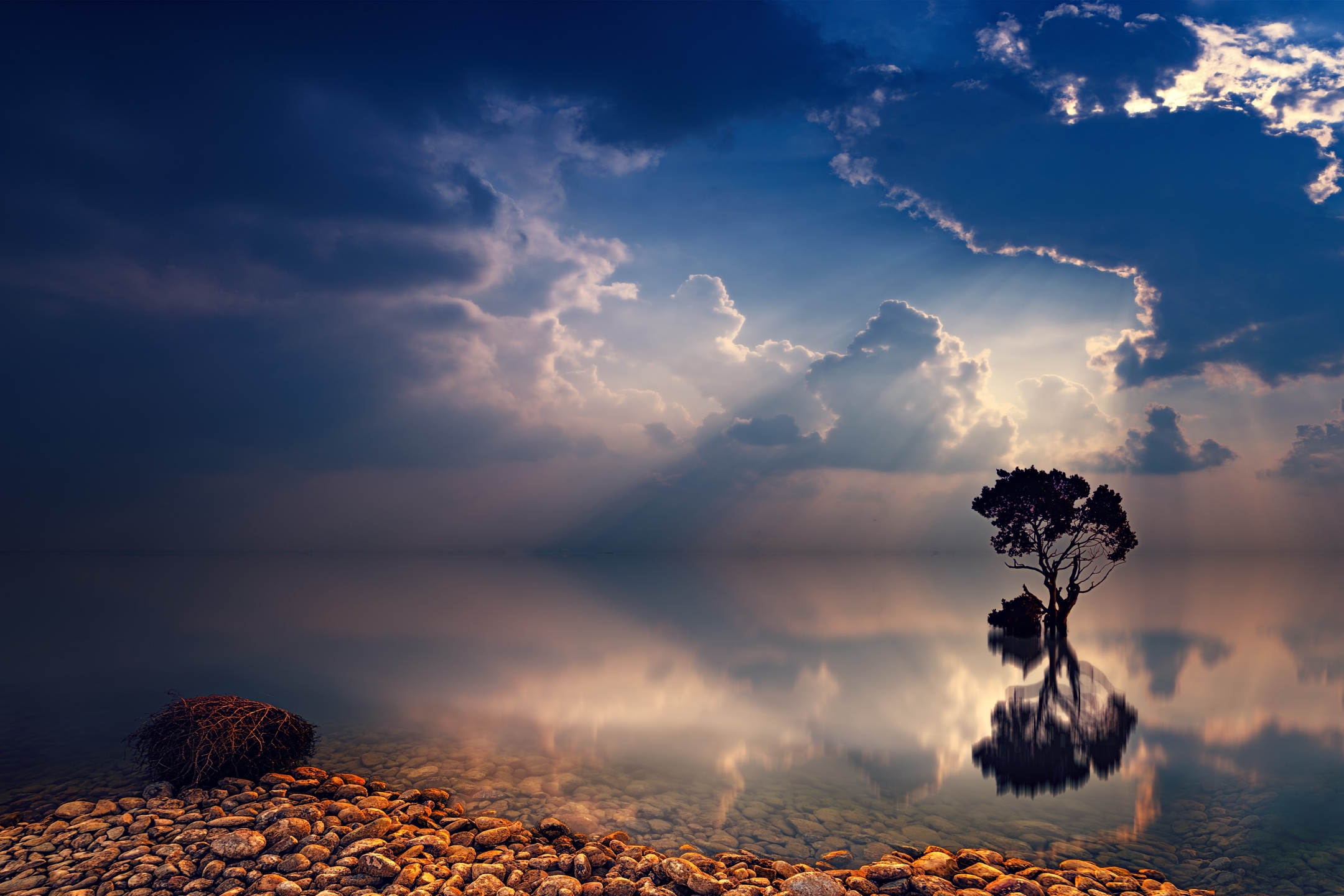 Download mobile wallpaper Nature, Trees, Twilight, Reflection, Tree, Ocean, Earth, Stone, Cloud, Sunbeam, Lonely Tree, Sunbean for free.