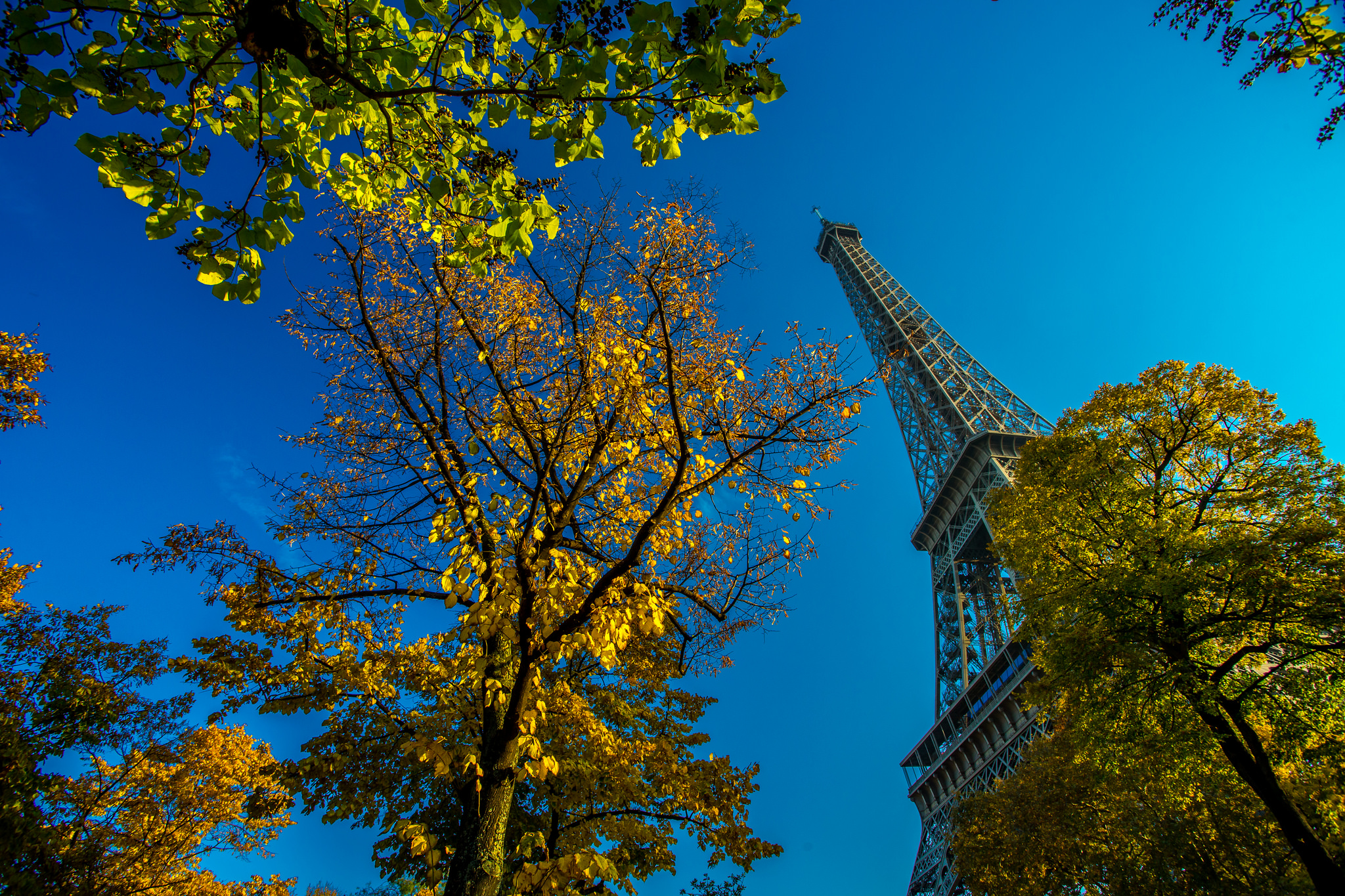 Descarga gratuita de fondo de pantalla para móvil de París, Torre Eiffel, Monumentos, Árbol, Francia, Hecho Por El Hombre.