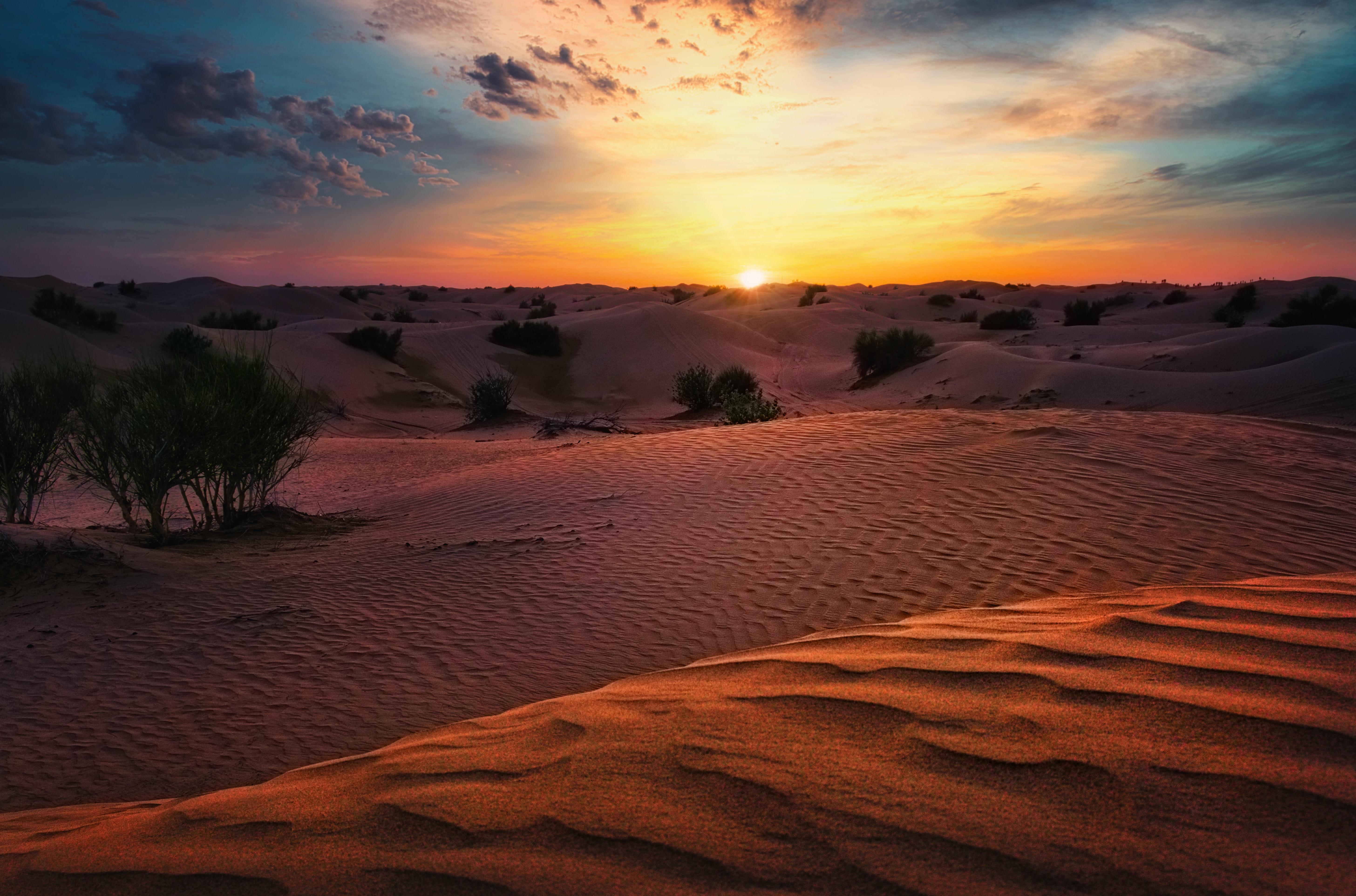 Laden Sie das Natur, Sunset, Sand, Wüste, Bush, Hügel, Die Hügel-Bild kostenlos auf Ihren PC-Desktop herunter