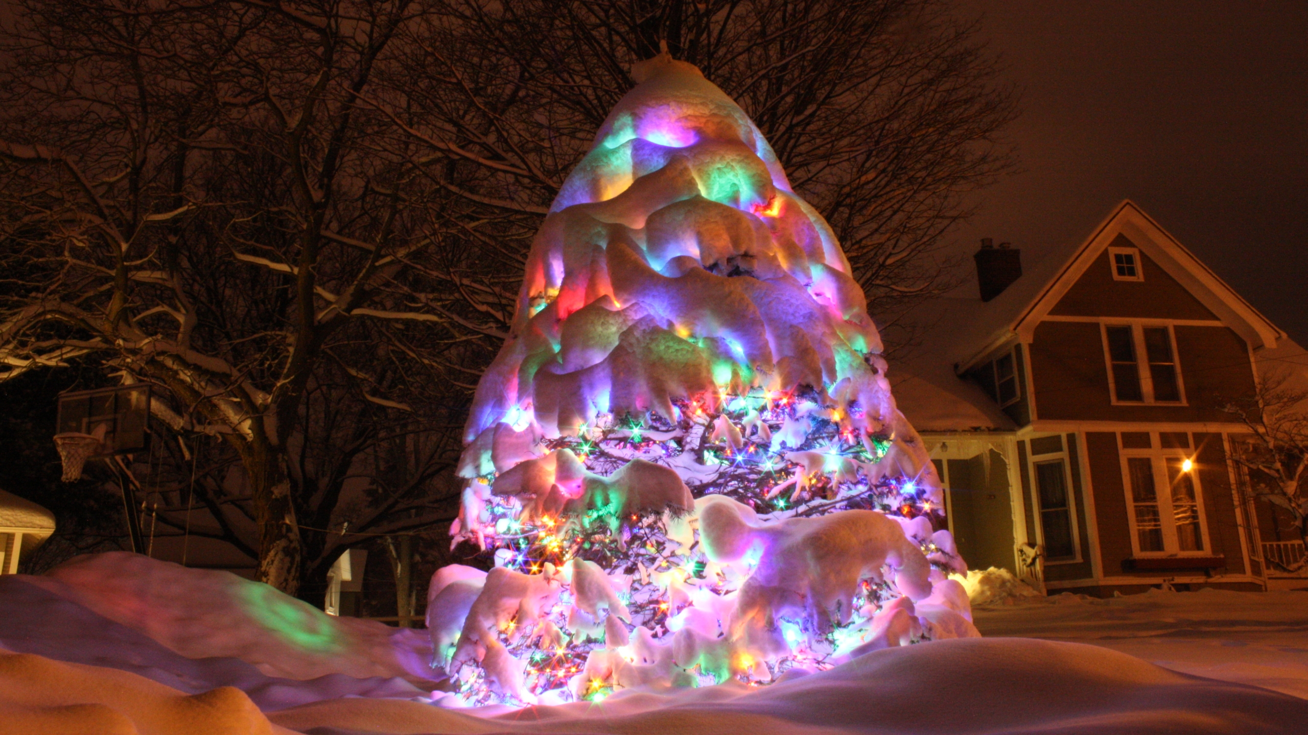 Download mobile wallpaper Snow, Christmas, Holiday, Christmas Tree for free.