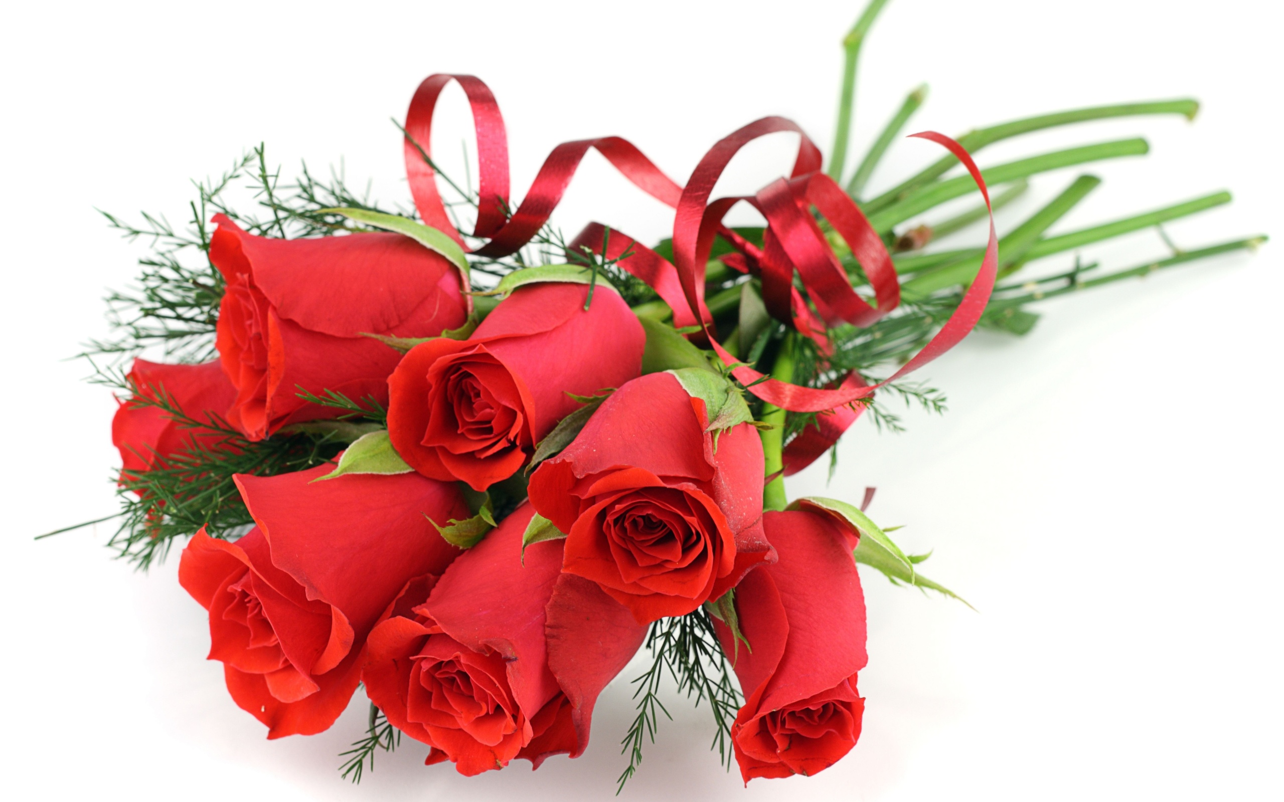 Скачать обои бесплатно Цветок, Роза, День Святого Валентина, Праздничные картинка на рабочий стол ПК