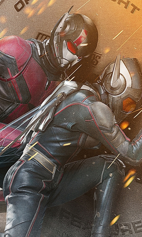 Download mobile wallpaper Movie, Wasp (Marvel Comics), Evangeline Lilly, Ant Man, Paul Rudd, Hope Van Dyne, Ant Man And The Wasp for free.