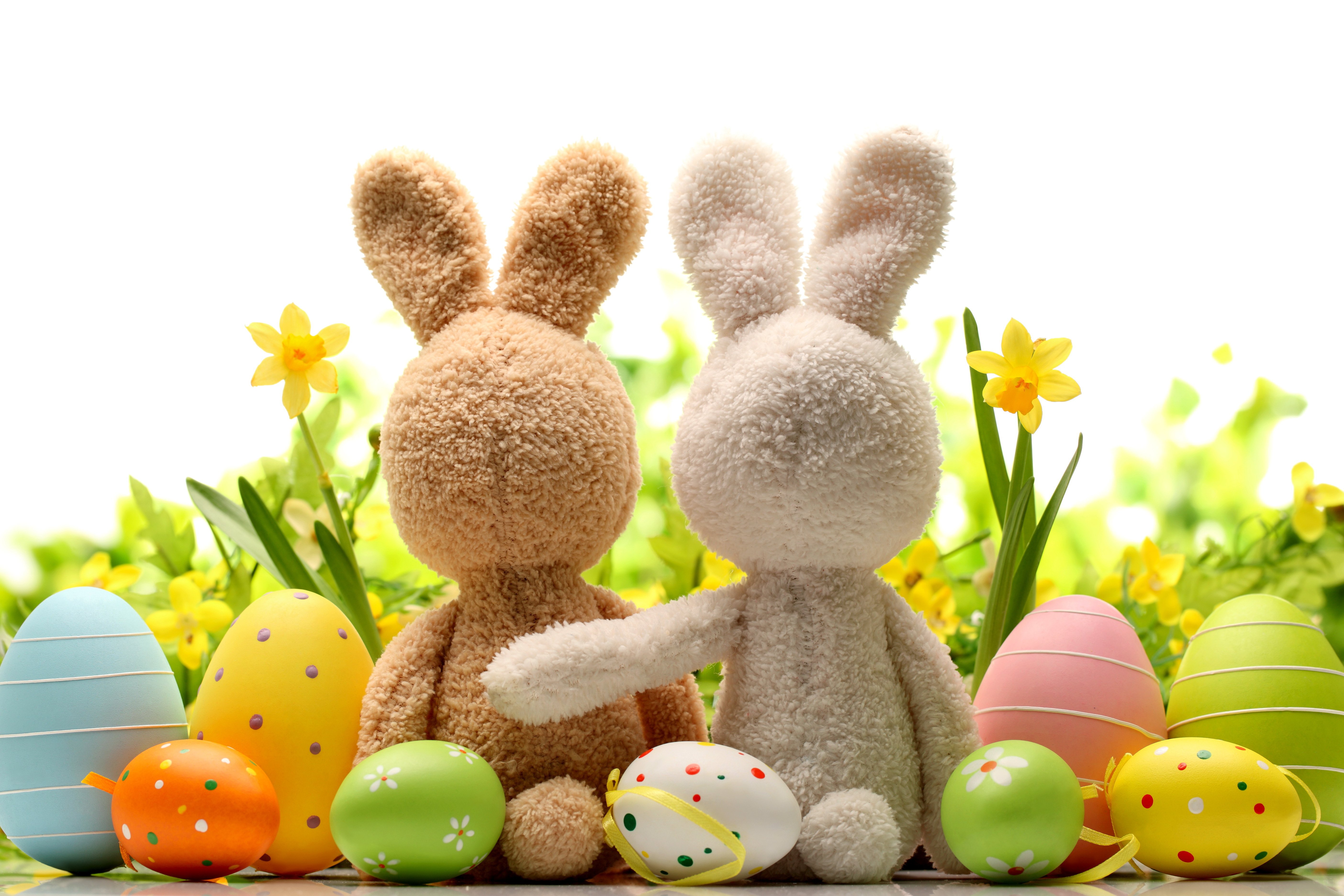 Download mobile wallpaper Easter, Holiday, Colorful, Bunny, Stuffed Animal, Easter Egg for free.
