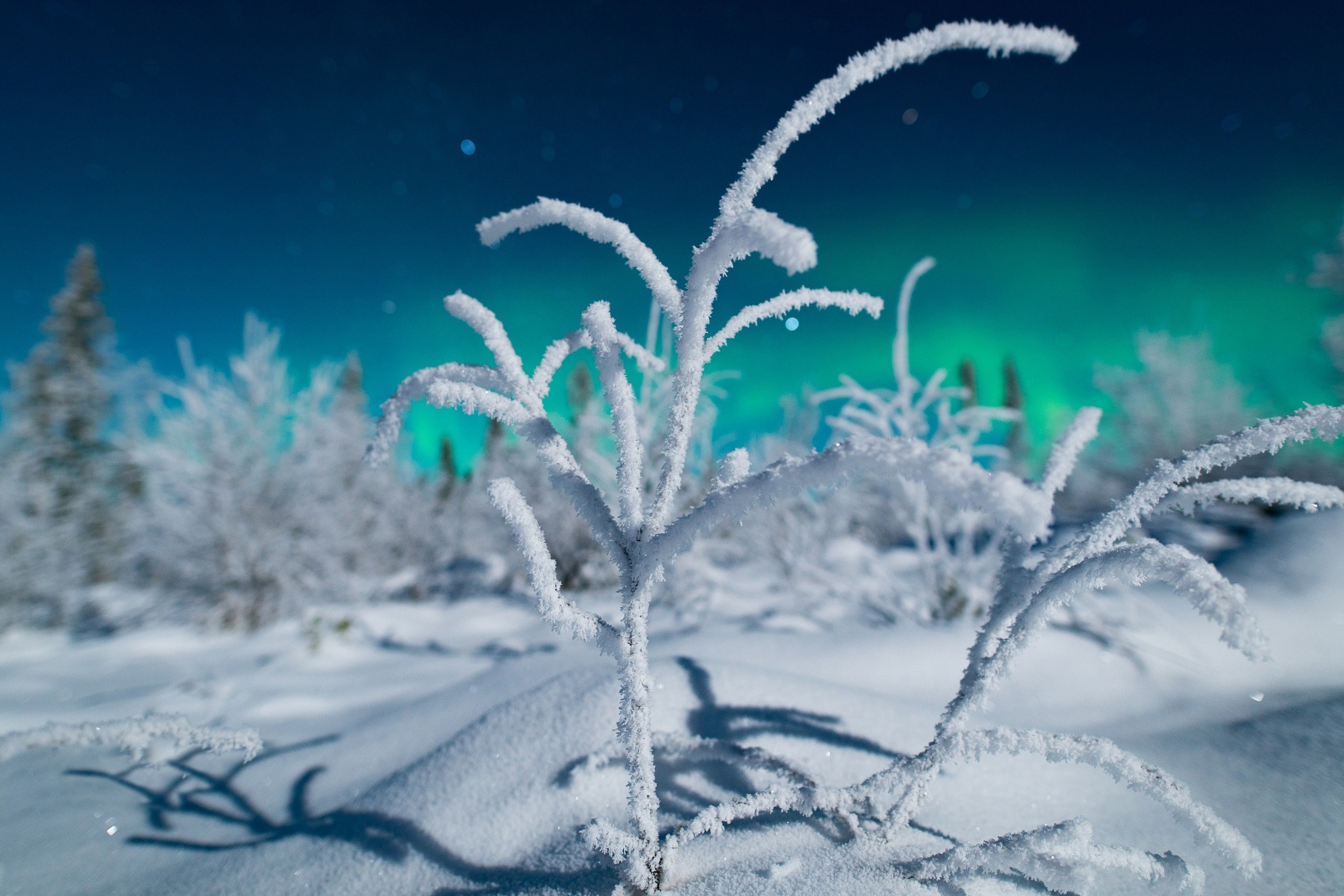 Download mobile wallpaper Winter, Nature, Night, Snow, Close Up, Earth for free.