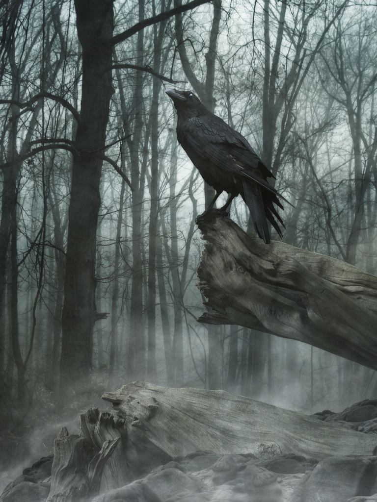 Download mobile wallpaper Dark, Bird, Fog, Animal, Raven for free.