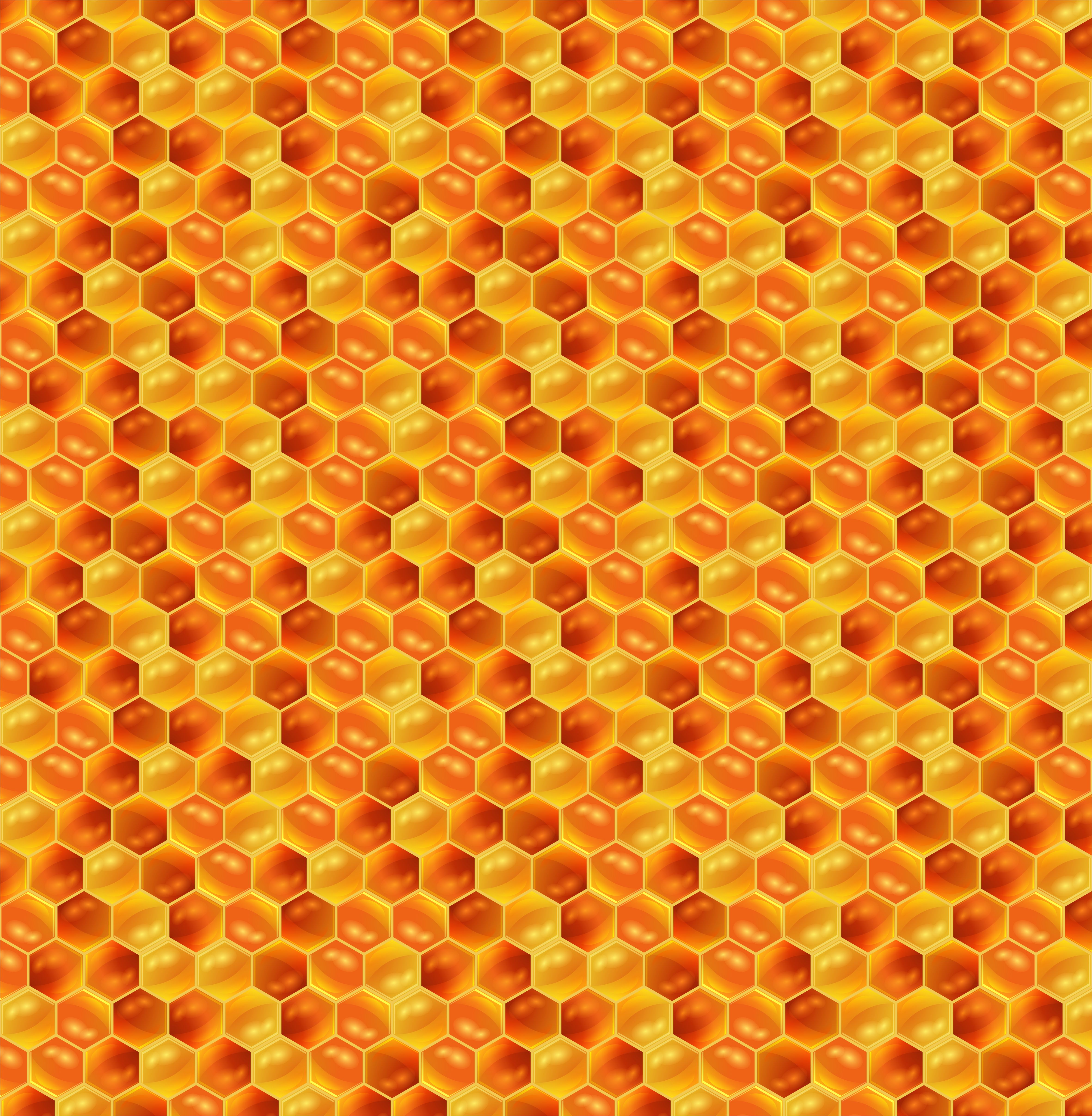 honeycomb, patterns, textures, pattern, texture, honey
