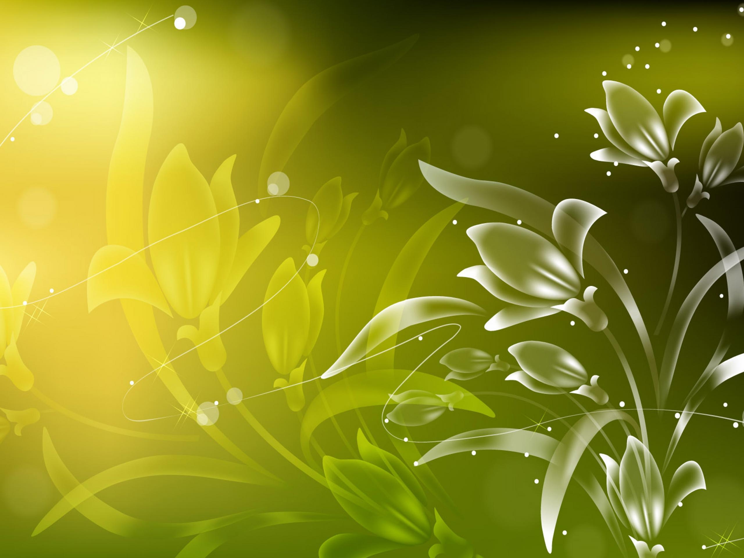 lines, light coloured, bright, abstract, flowers, light download HD wallpaper