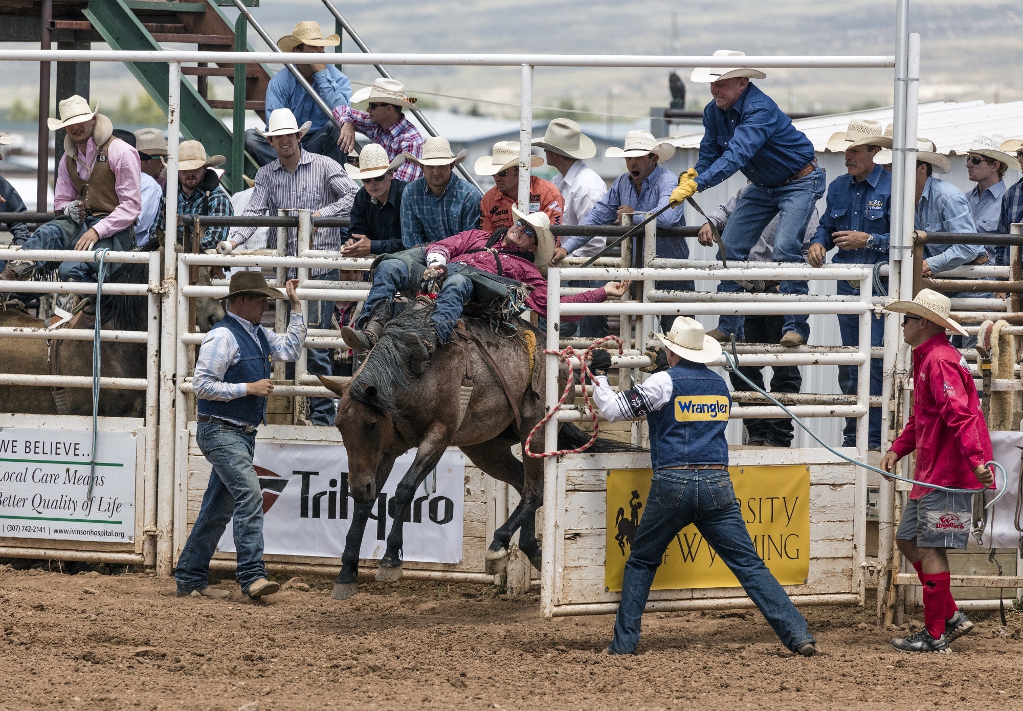 746829 Bild herunterladen sport, rodeo, cowboy, hauspferd - Hintergrundbilder und Bildschirmschoner kostenlos