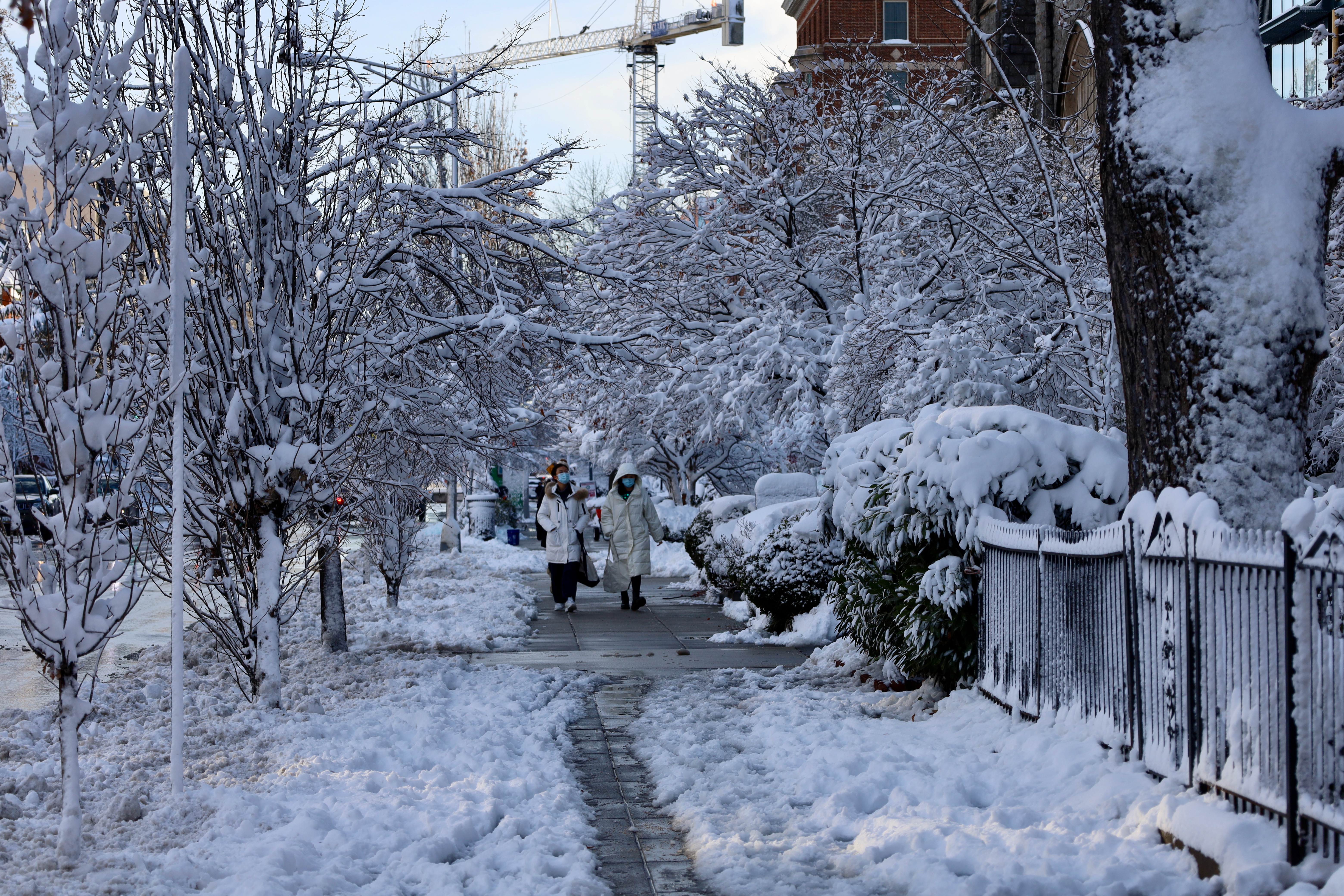 PCデスクトップに冬, 雪, 写真撮影画像を無料でダウンロード