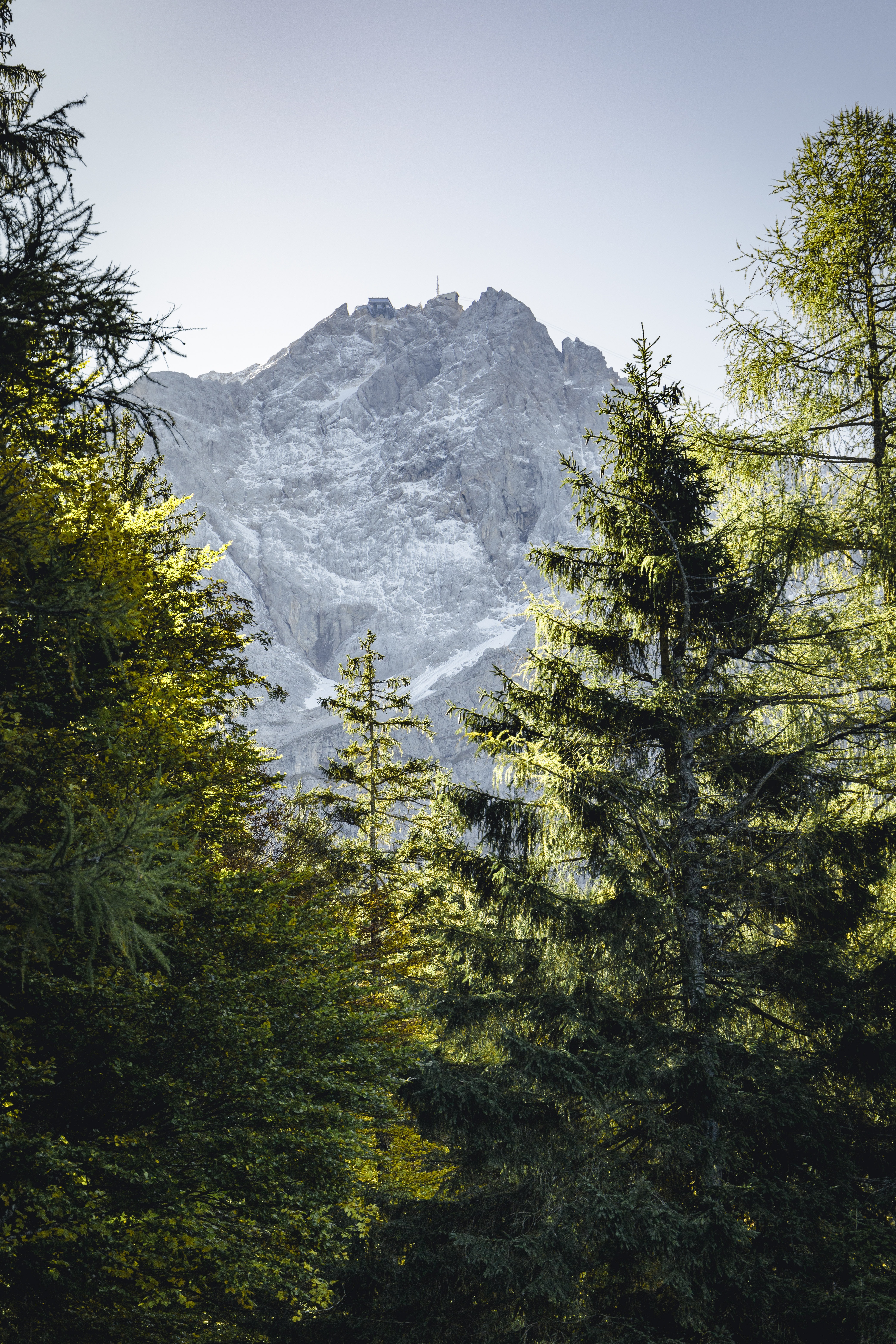 Free download wallpaper Mountains, Rocks, Branches, Fir, Spruce, Nature on your PC desktop