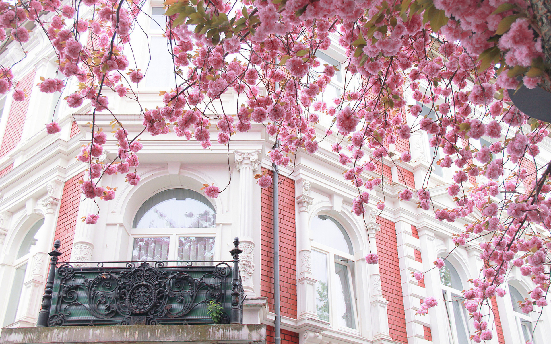 Download mobile wallpaper Pink, Building, Branch, House, Spring, Cherry Blossom, Blossom, Man Made, Pink Flower, Cherry Tree for free.
