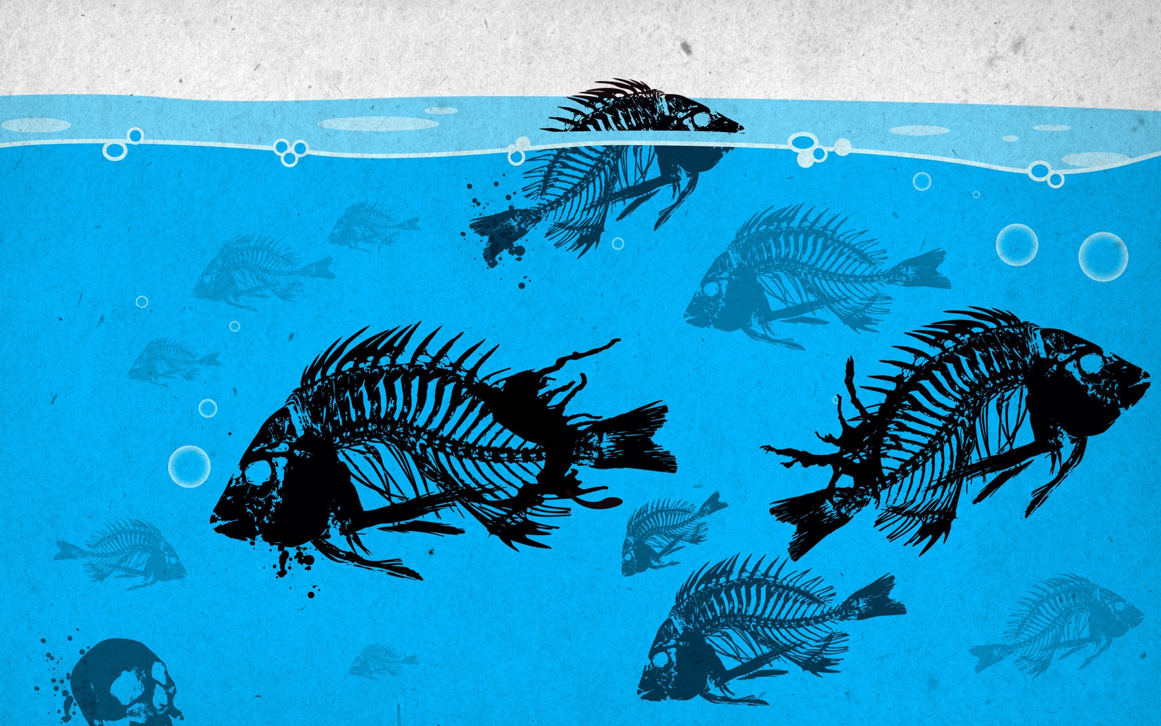 Free download wallpaper Dark, Animal, Fish on your PC desktop