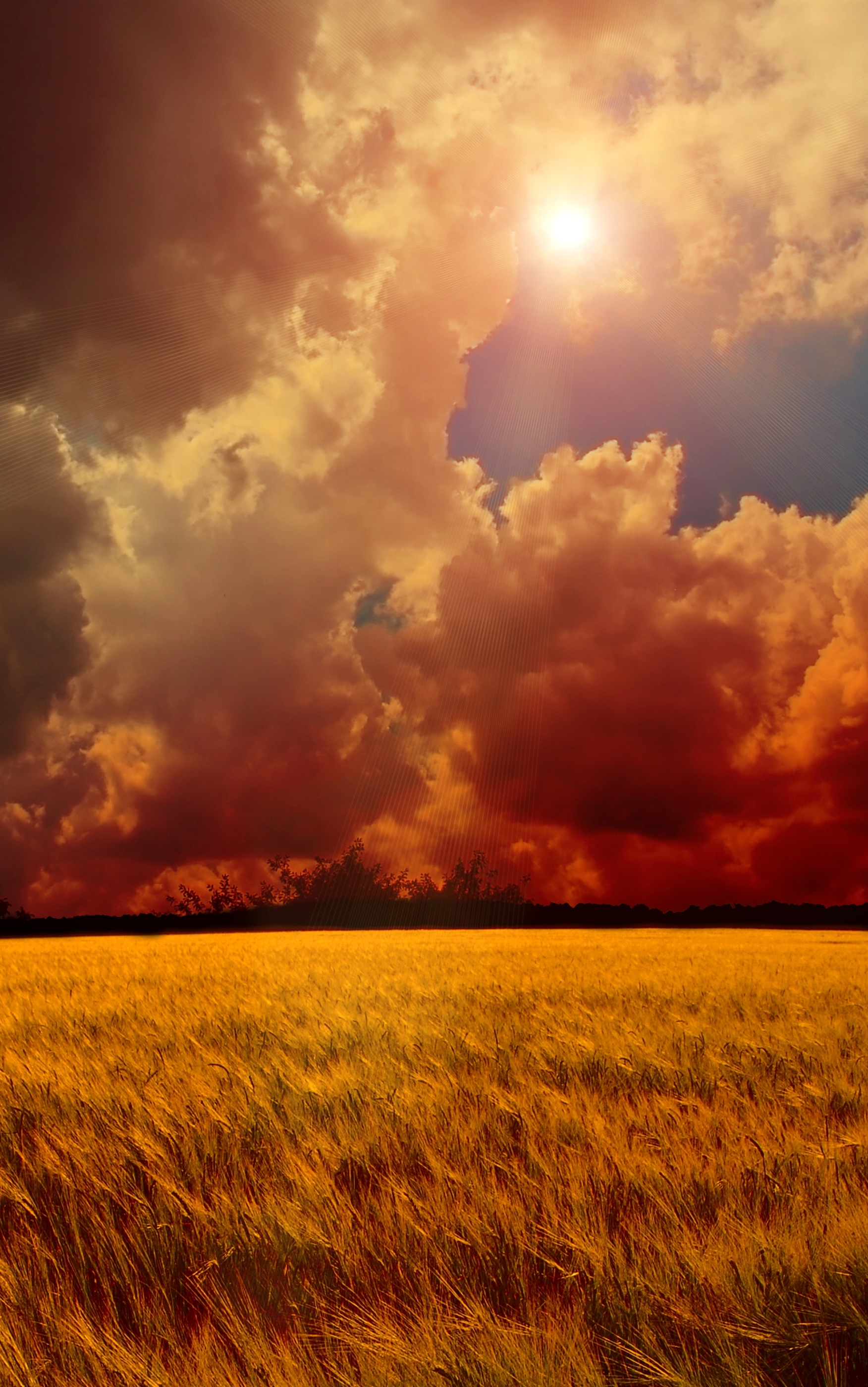 Download mobile wallpaper Landscape, Sky, Sun, Wheat, Earth, Field, Cloud, Manipulation for free.