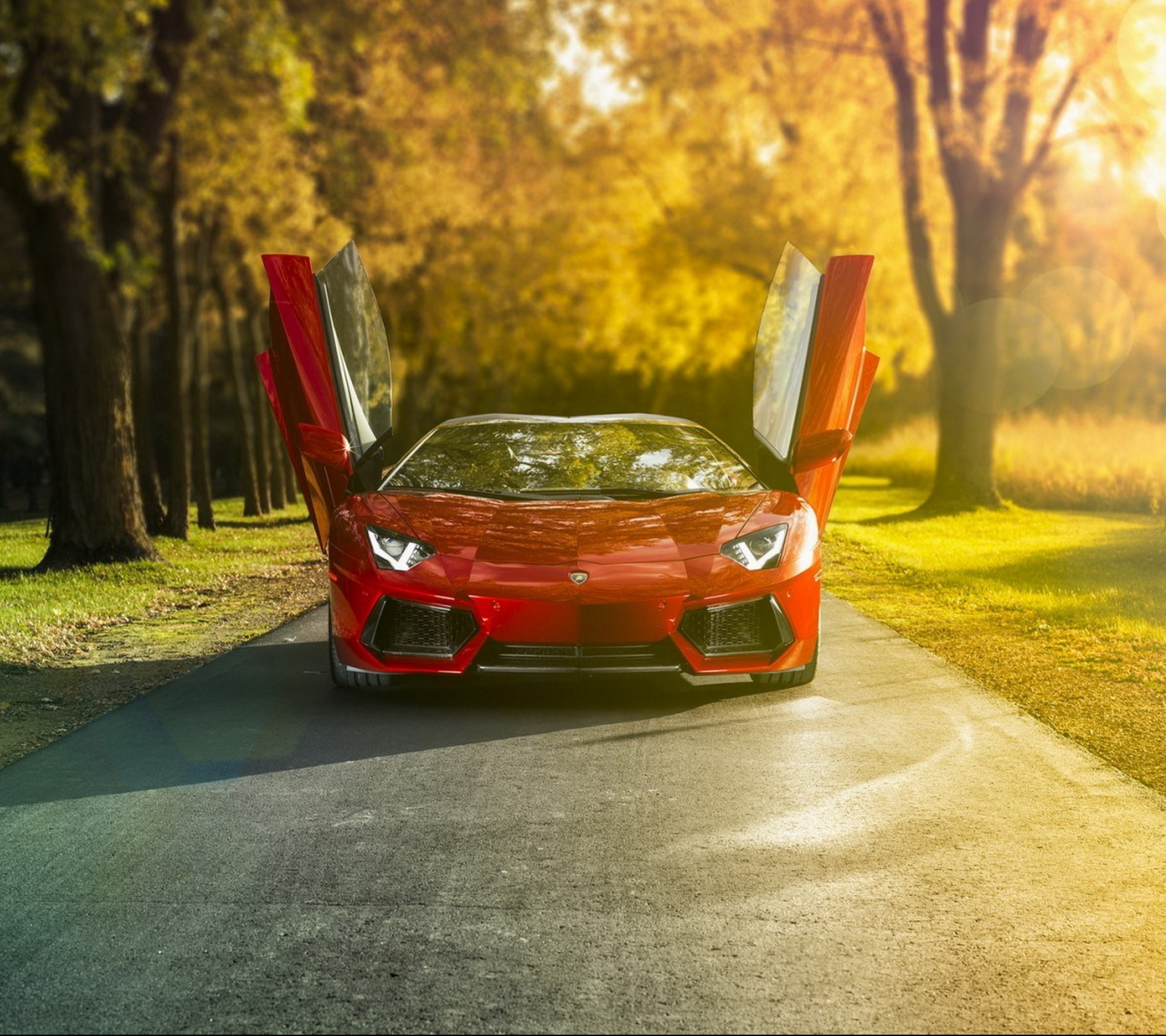 Скачати мобільні шпалери Ламборджіні, Lamborghini Aventador, Транспортні Засоби безкоштовно.