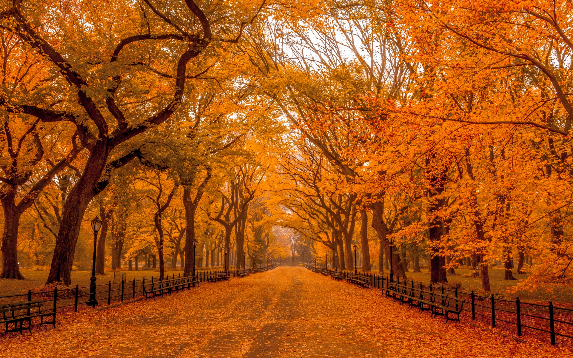 Скачать картинку Осень, Парк, Дерево, Ограда, Скамейка, Фотографии, Оранжевый Цвет) в телефон бесплатно.