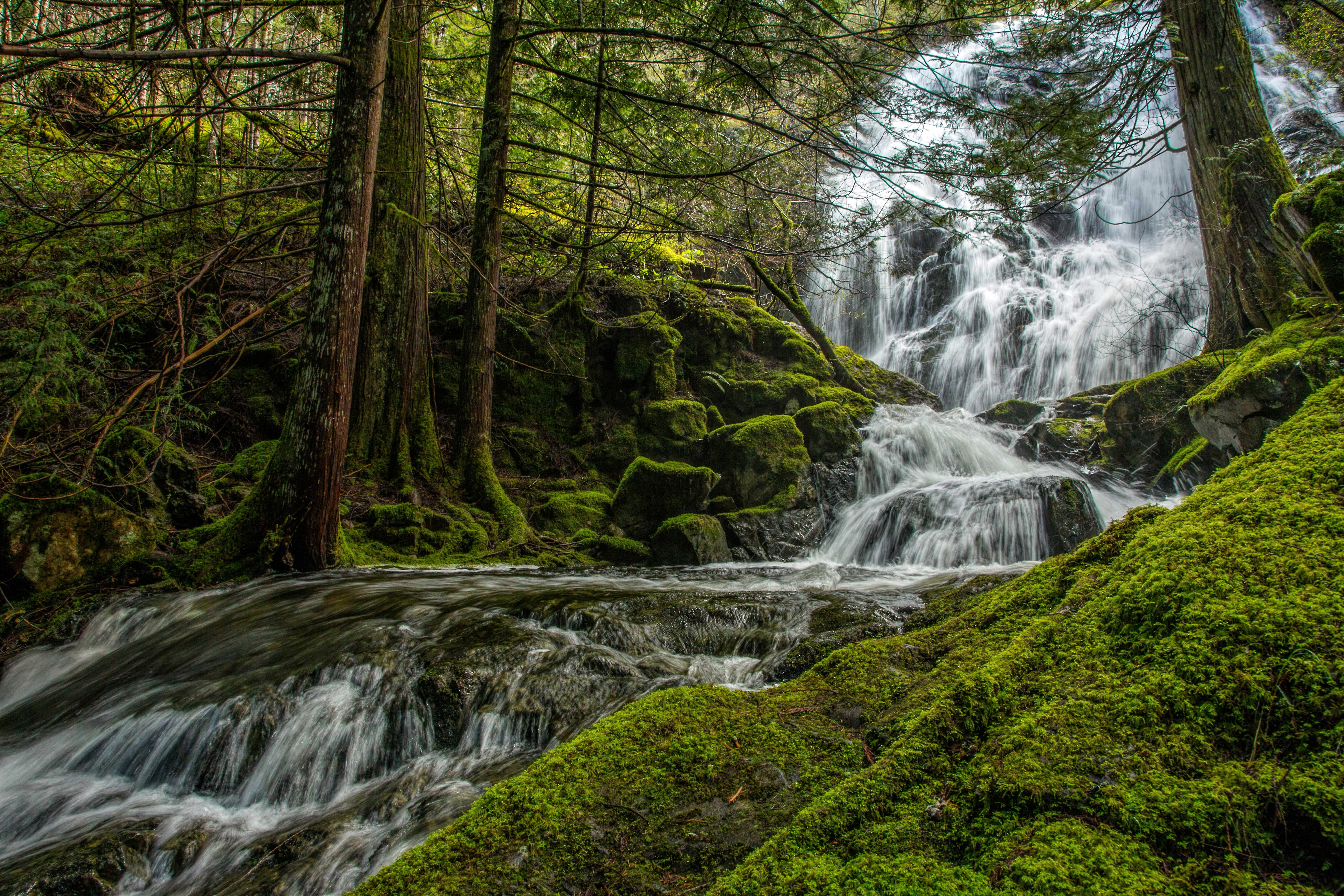 Free download wallpaper Nature, Waterfalls, Waterfall, Forest, Earth, Moss on your PC desktop