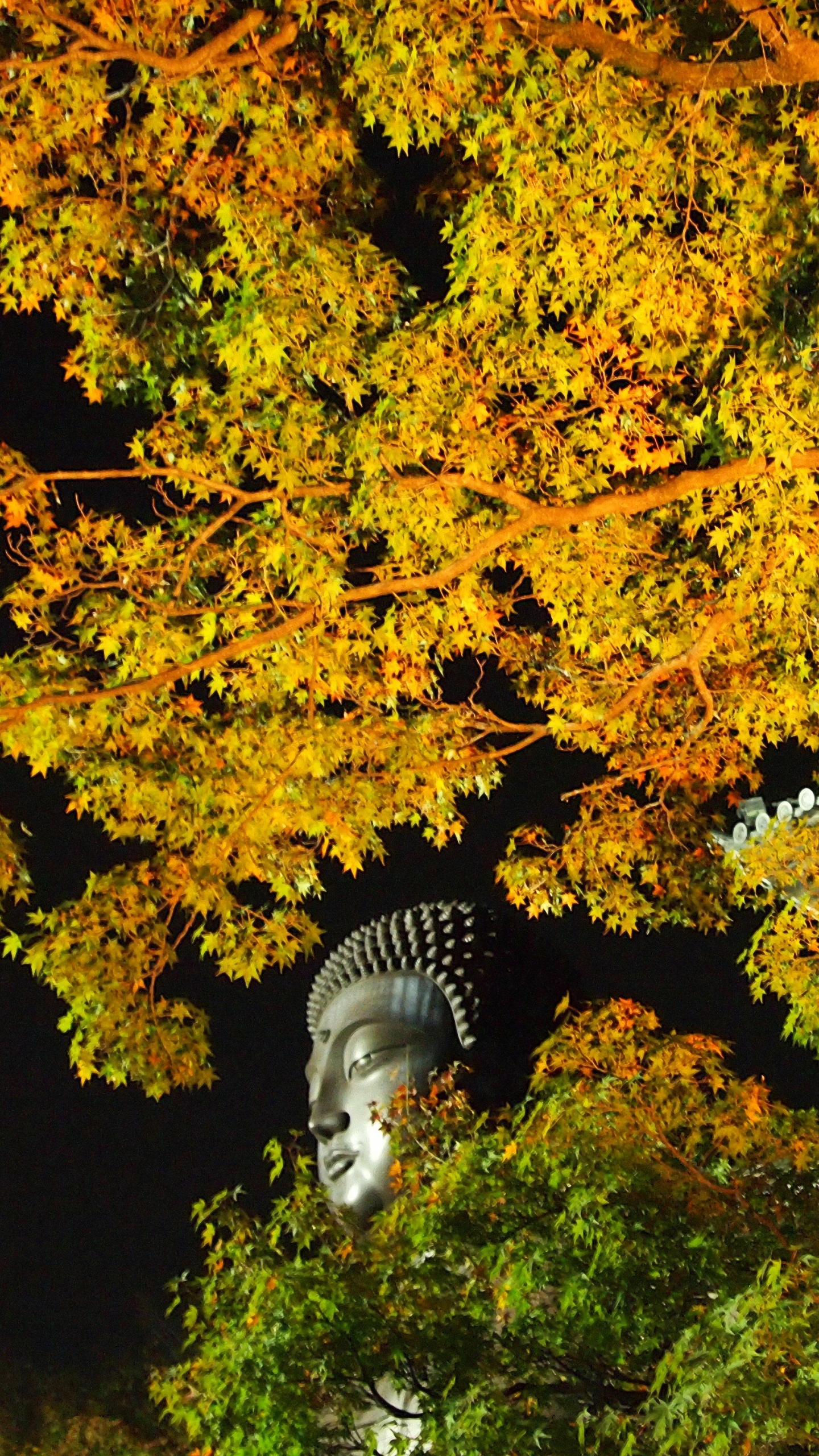 Handy-Wallpaper Herbst, Japan, Tempel, Religiös kostenlos herunterladen.