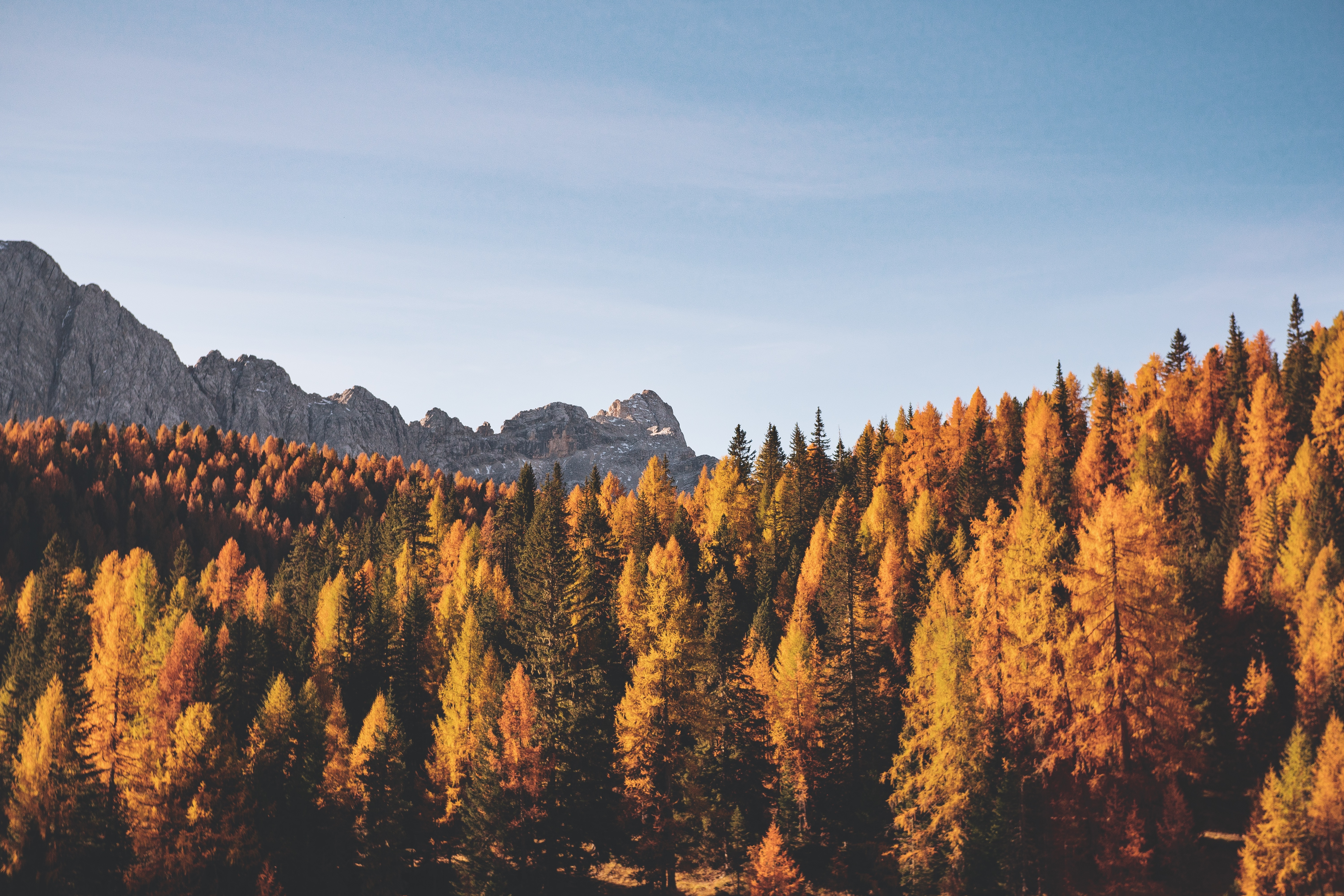 Скачать обои бесплатно Природа, Деревья, Горы, Осень картинка на рабочий стол ПК
