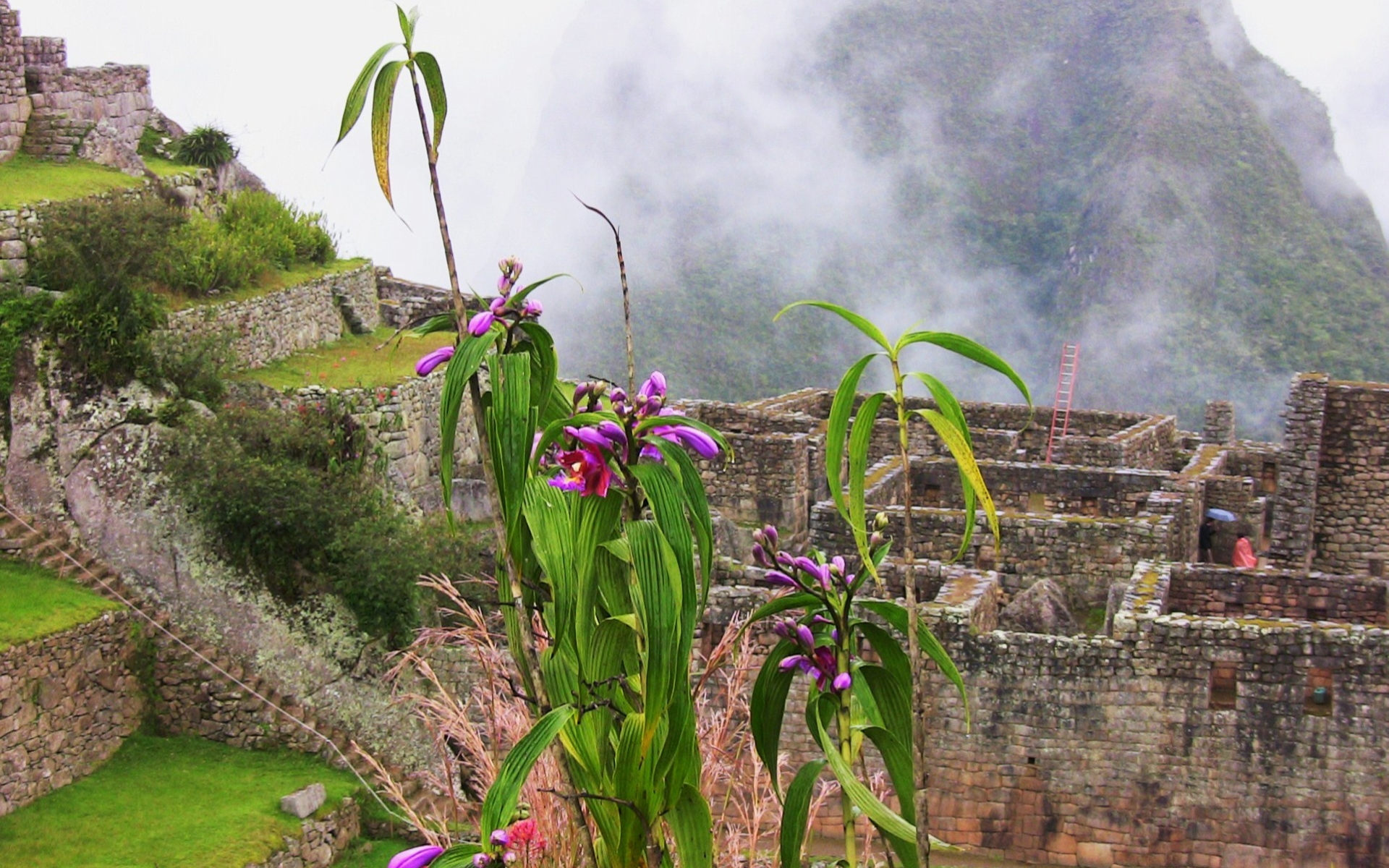 Baixar papel de parede para celular de Machu Picchu, Monumentos, Feito Pelo Homem gratuito.