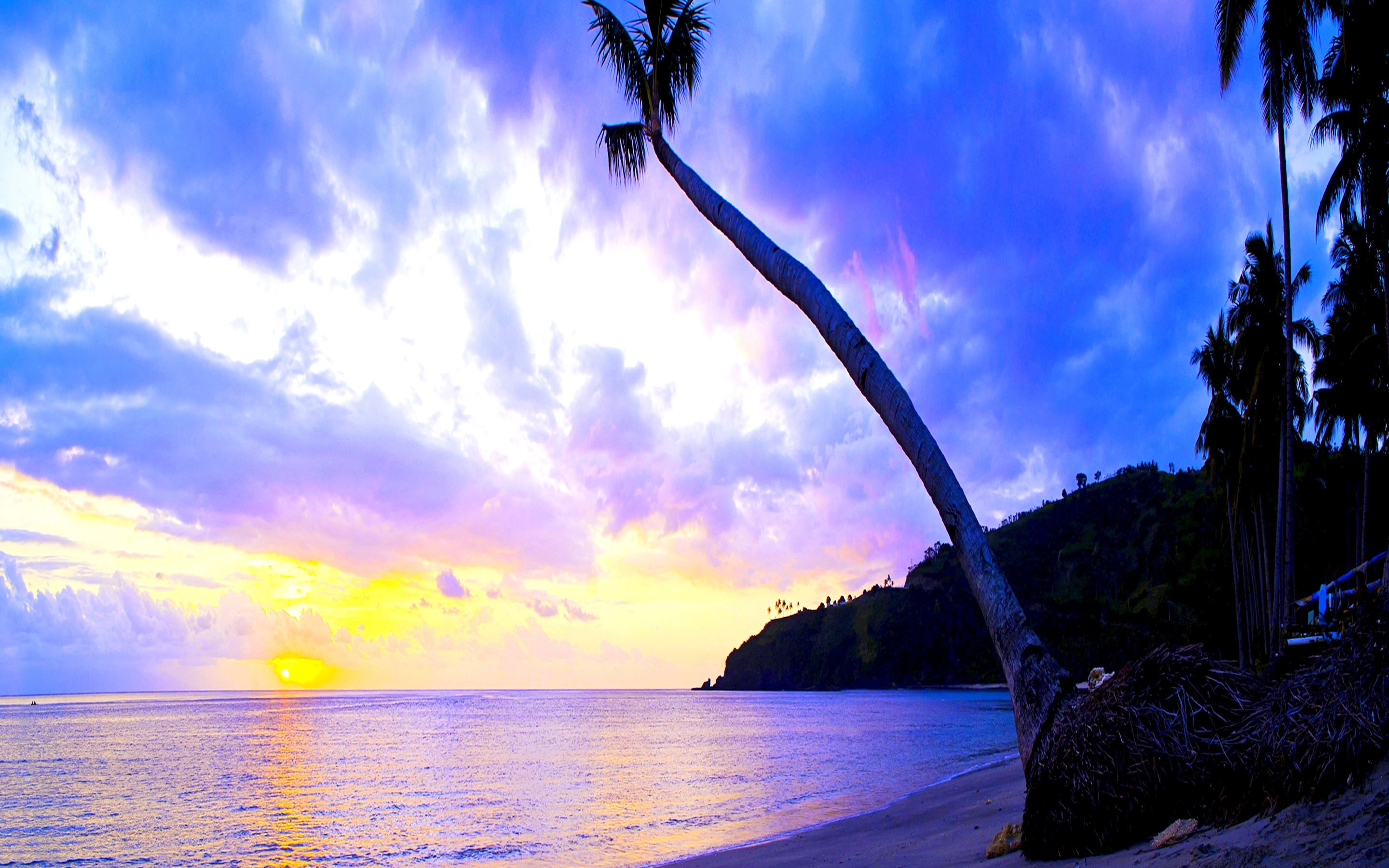Free download wallpaper Sunset, Sea, Beach, Horizon, Ocean, Earth, Tropical, Palm Tree on your PC desktop