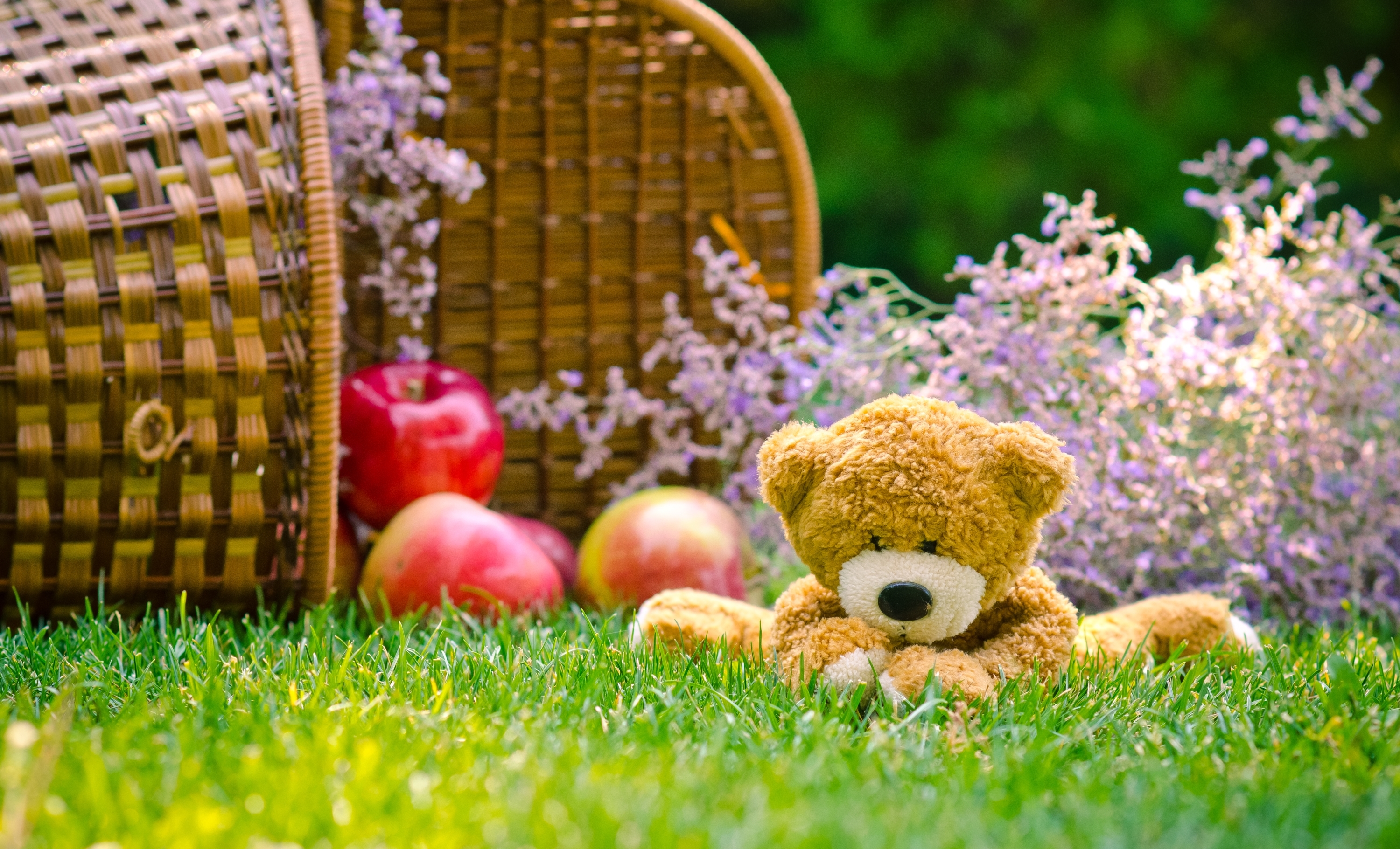 Handy-Wallpaper Teddybär, Korb, Apfel, Gras, Menschengemacht, Kuscheltier kostenlos herunterladen.