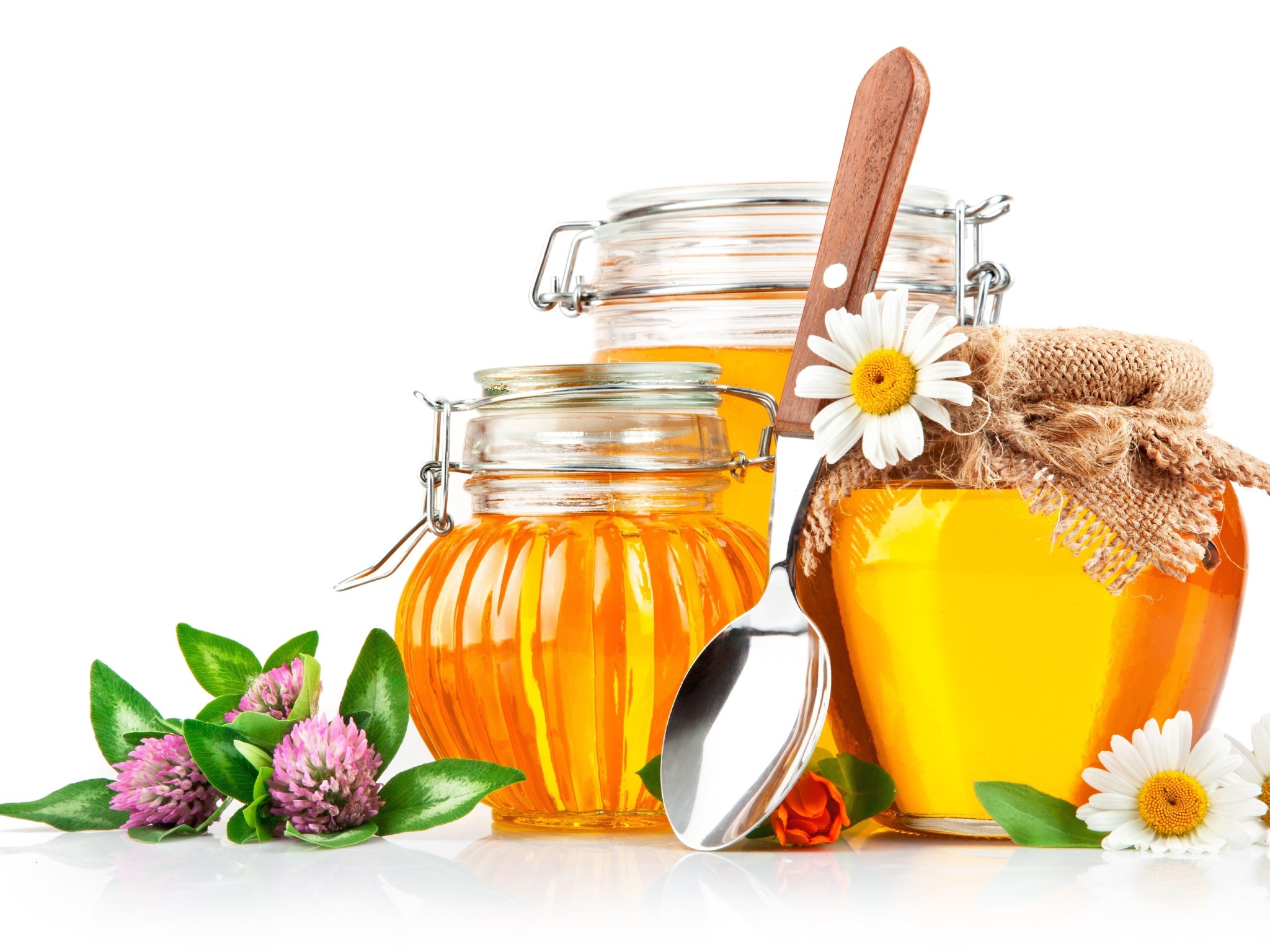 Free download wallpaper Food, Flower, Jar, Honey on your PC desktop