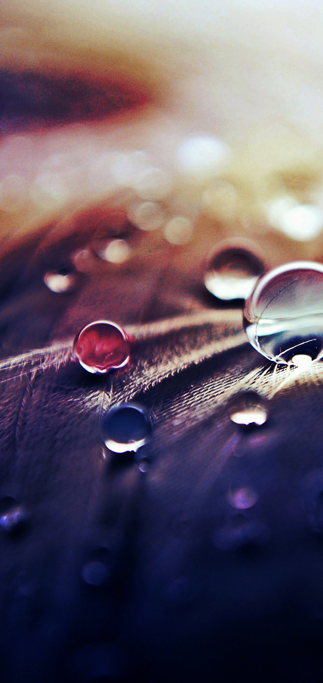 Download mobile wallpaper Earth, Water Drop for free.