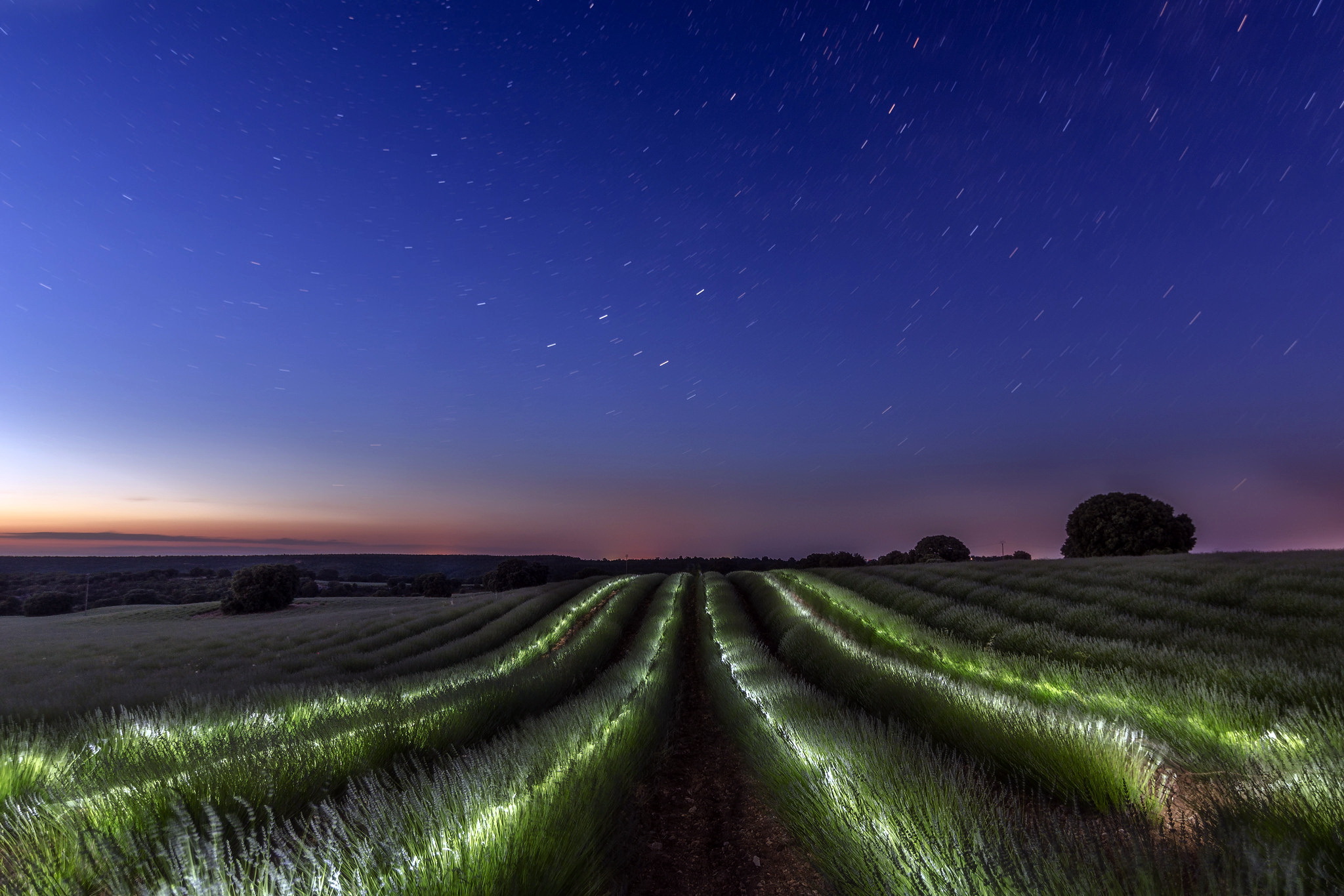 Téléchargez gratuitement l'image Paysage, Nuit, Champ, Ciel, La Nature, Terre/nature sur le bureau de votre PC