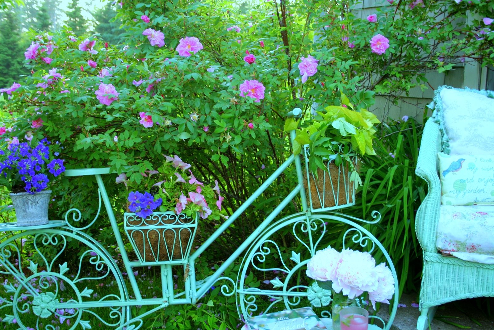 Handy-Wallpaper Fahrräder, Blume, Stuhl, Rose, Erde, Farben, Garten, Bunt, Frühling, Menschengemacht kostenlos herunterladen.