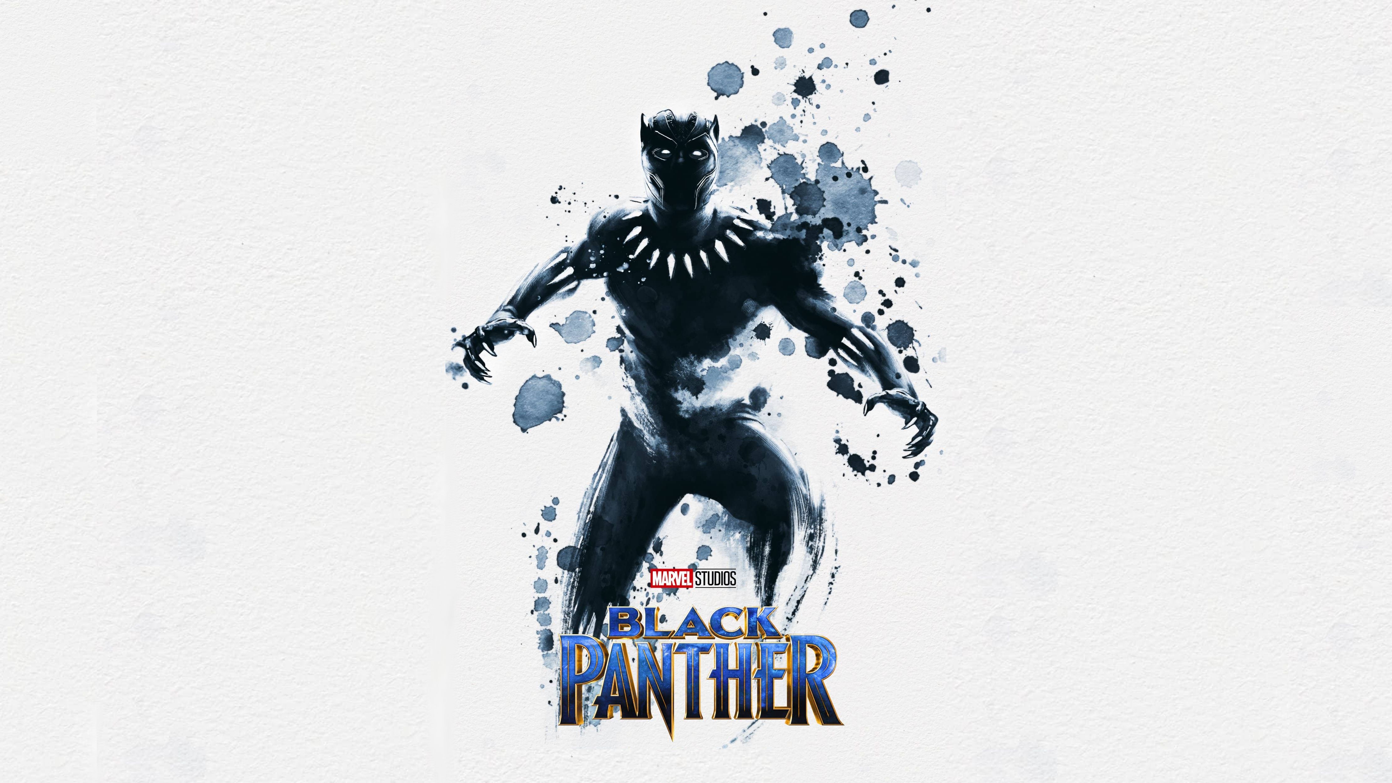 882506 Hintergrundbild herunterladen filme, black panther, schwarzer panther (marvel comics), schwarzer panther (film) - Bildschirmschoner und Bilder kostenlos