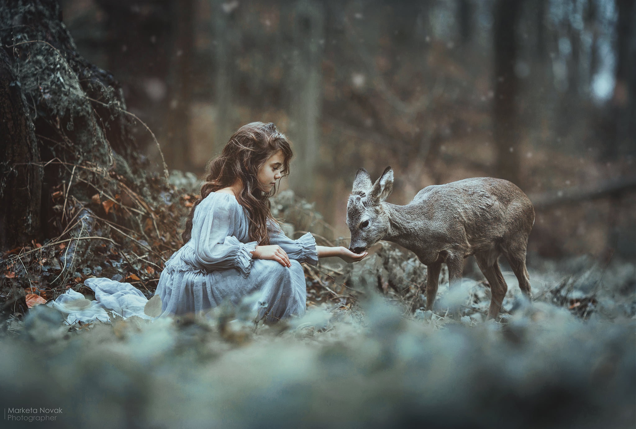 Free download wallpaper Deer, Child, Photography, Baby Animal, Little Girl on your PC desktop